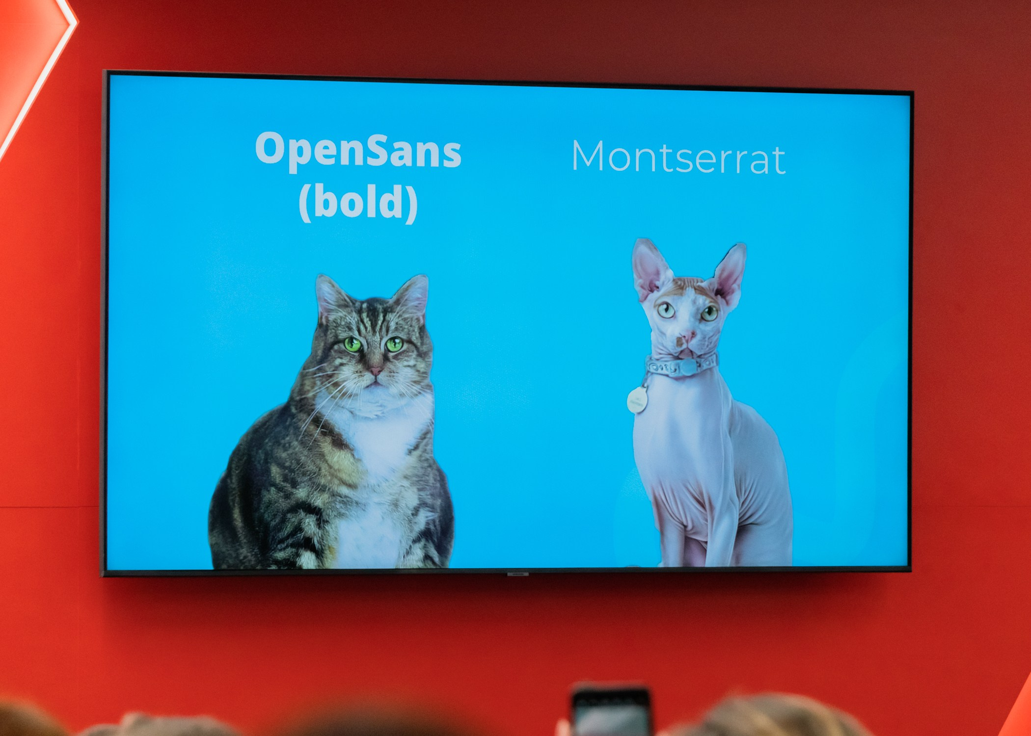 Дизайн Квартал 2024. Фотограф-анималист Ксения Воробьева, Москва