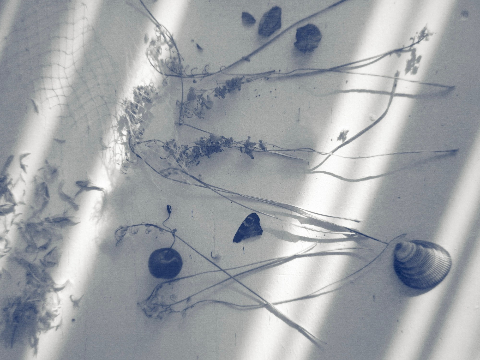 Яна Нортхен. Private image