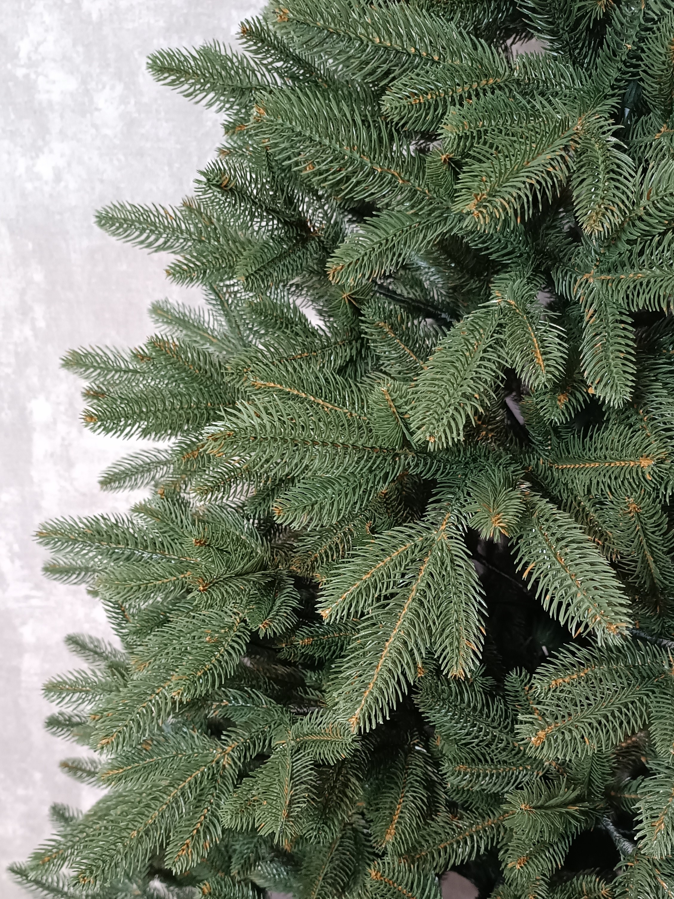 МЭРИ. Elki_grodno