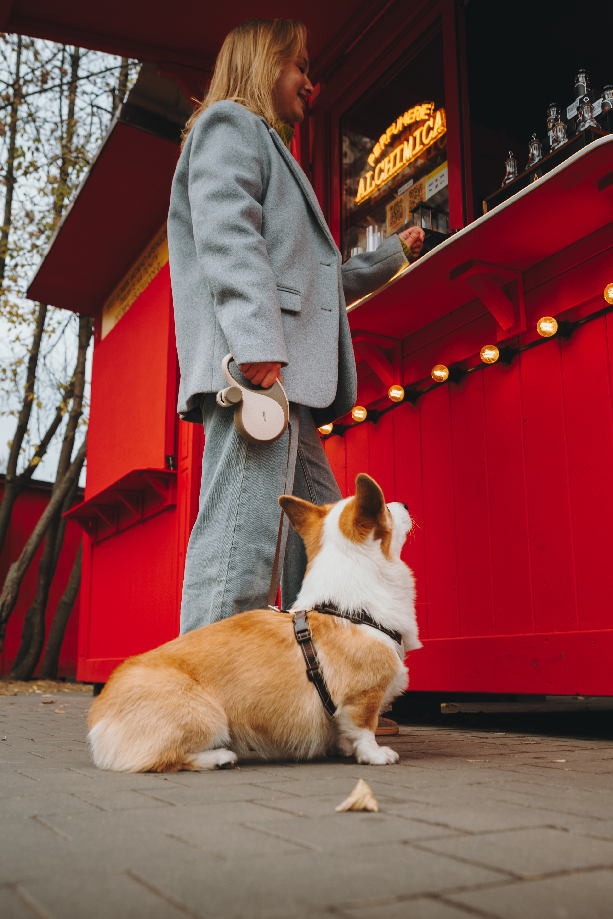 Pawsitive. Семейный фотограф анималист Ананьева Мария — Москва