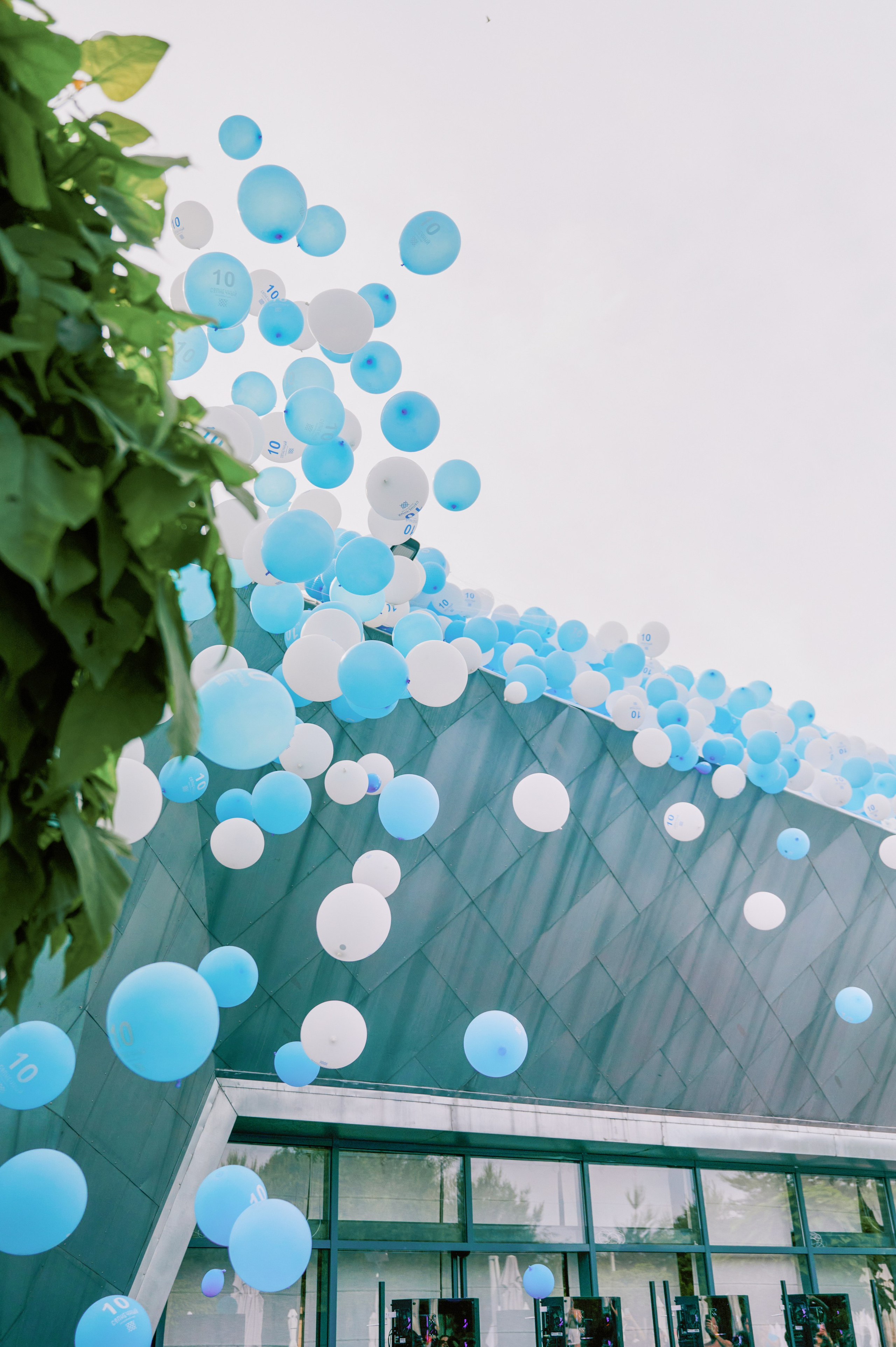 Солнечный.10 лет (репортаж). Свадебный и семейный фотограф Ростов-на-Дону Евгения Борисова