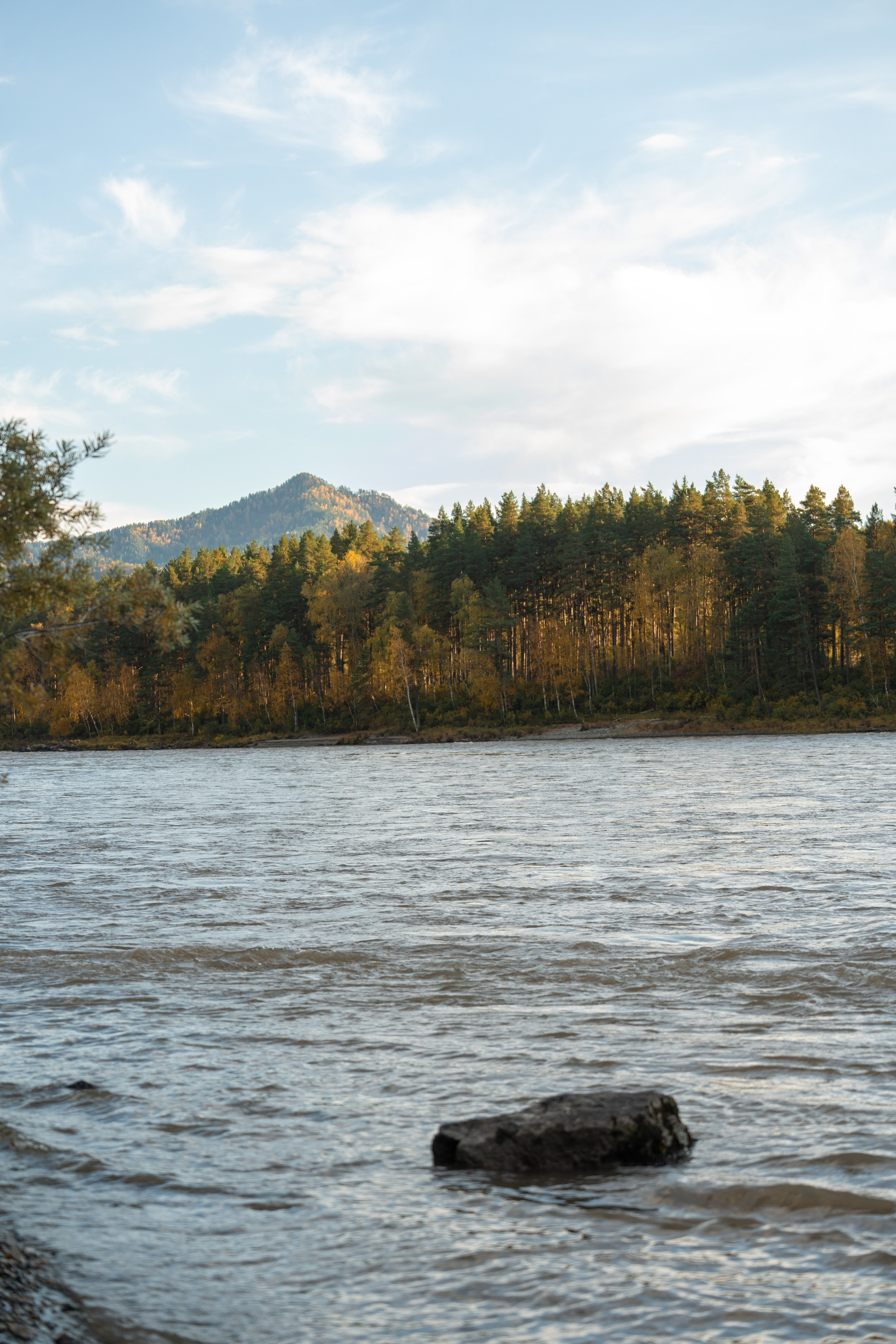 Семейная фотосессия в Москве для большой семьи. Свадебный фотограф в Москве Анна Полушина