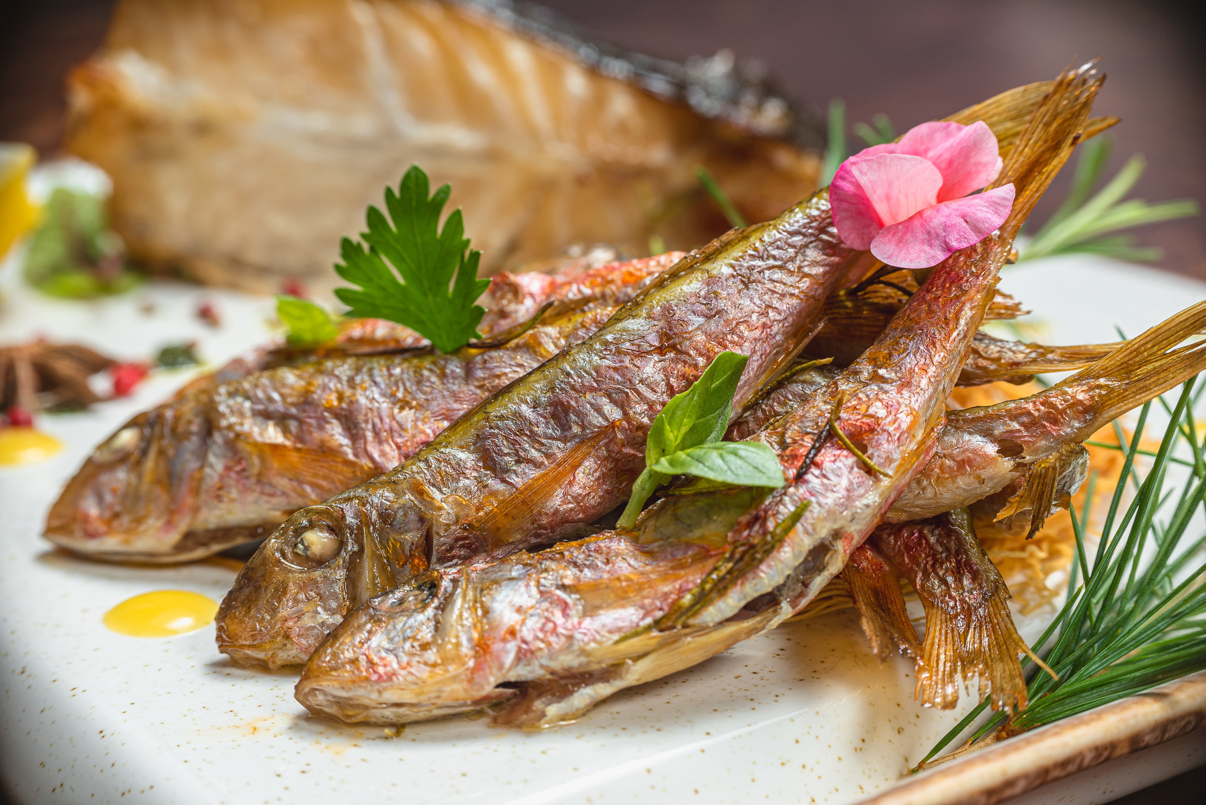 Фотосессия блюд для сайта