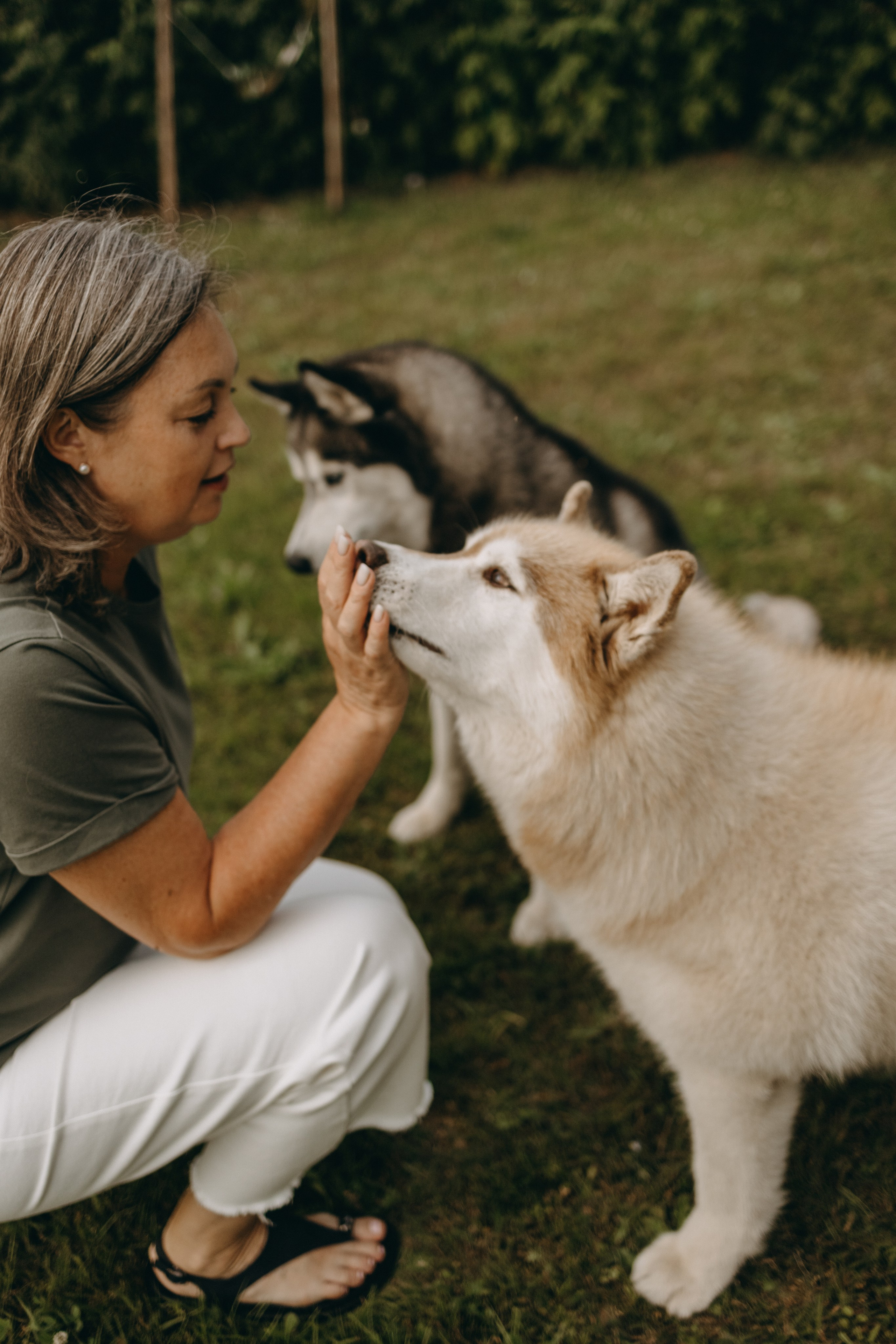 Дом у реки. Фотограф — Анималист | Санкт-Петербург