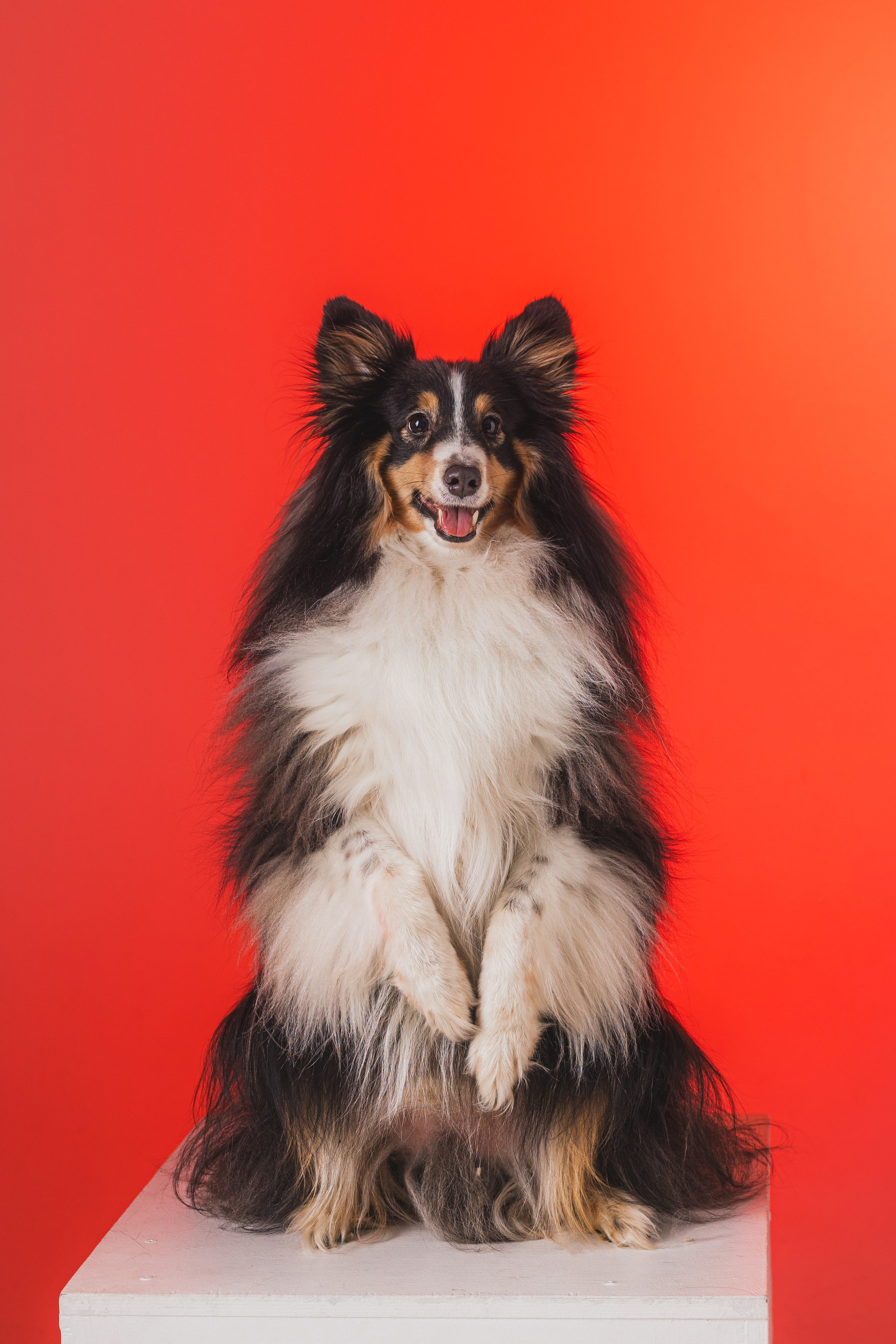 Воркшоп по импульсному свету