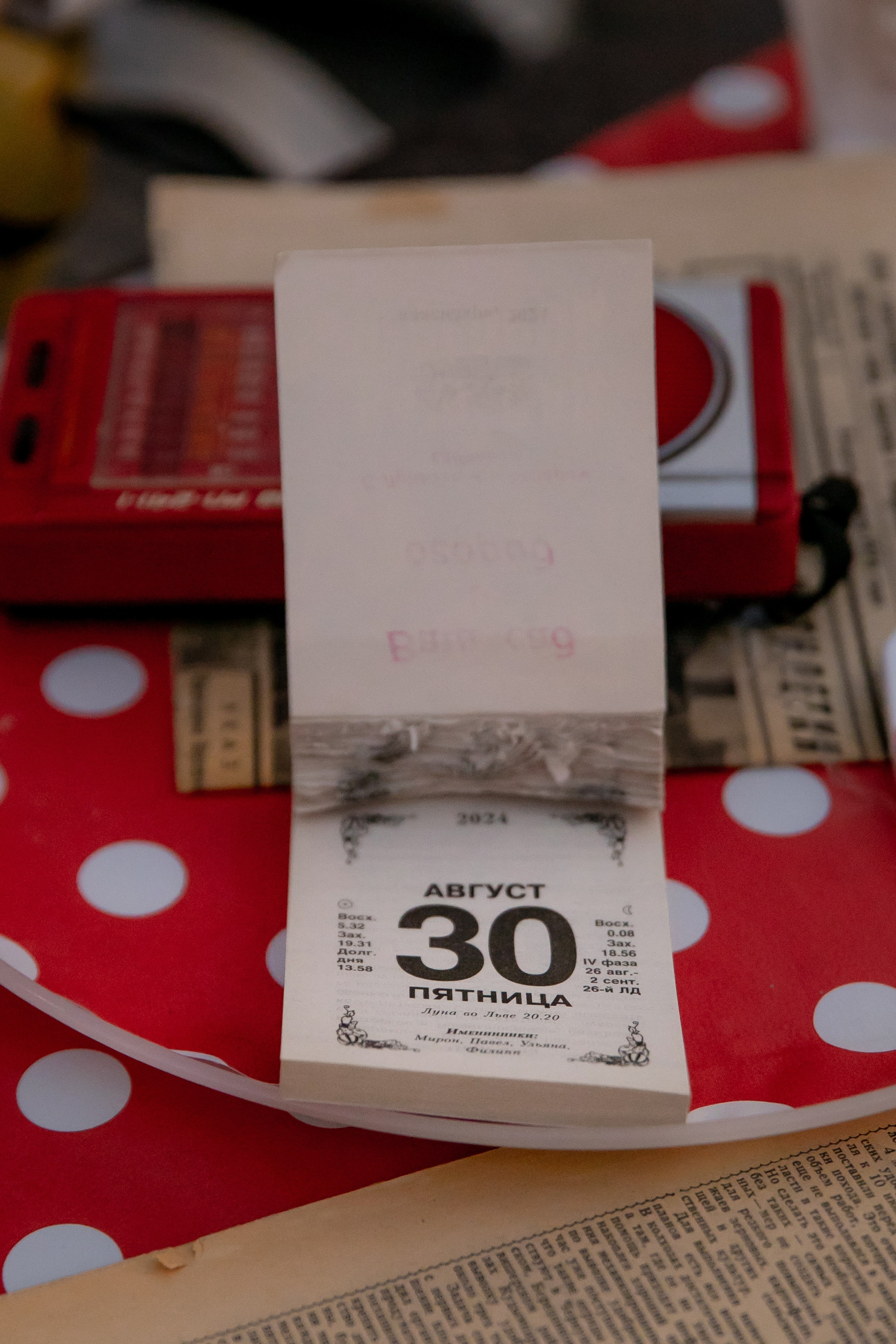 Тематические вечеринки. Семейный фотограф в Москве