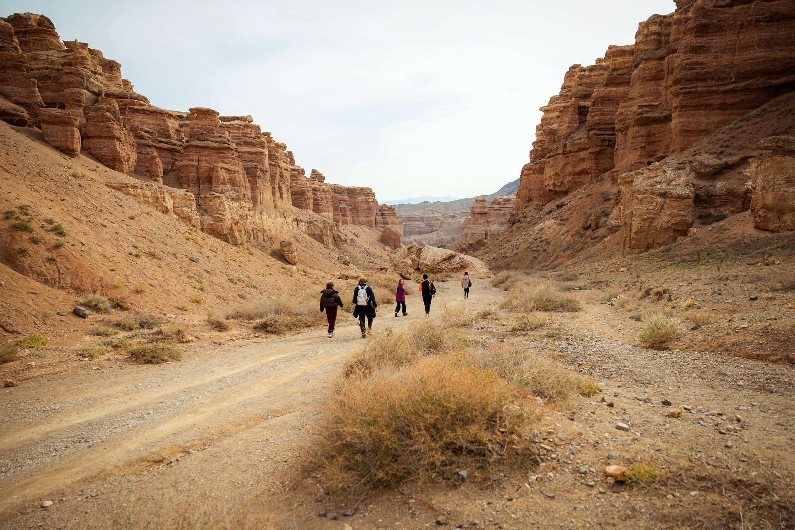 Казахстан (осень 2024). Фотограф Виноградов Константин
