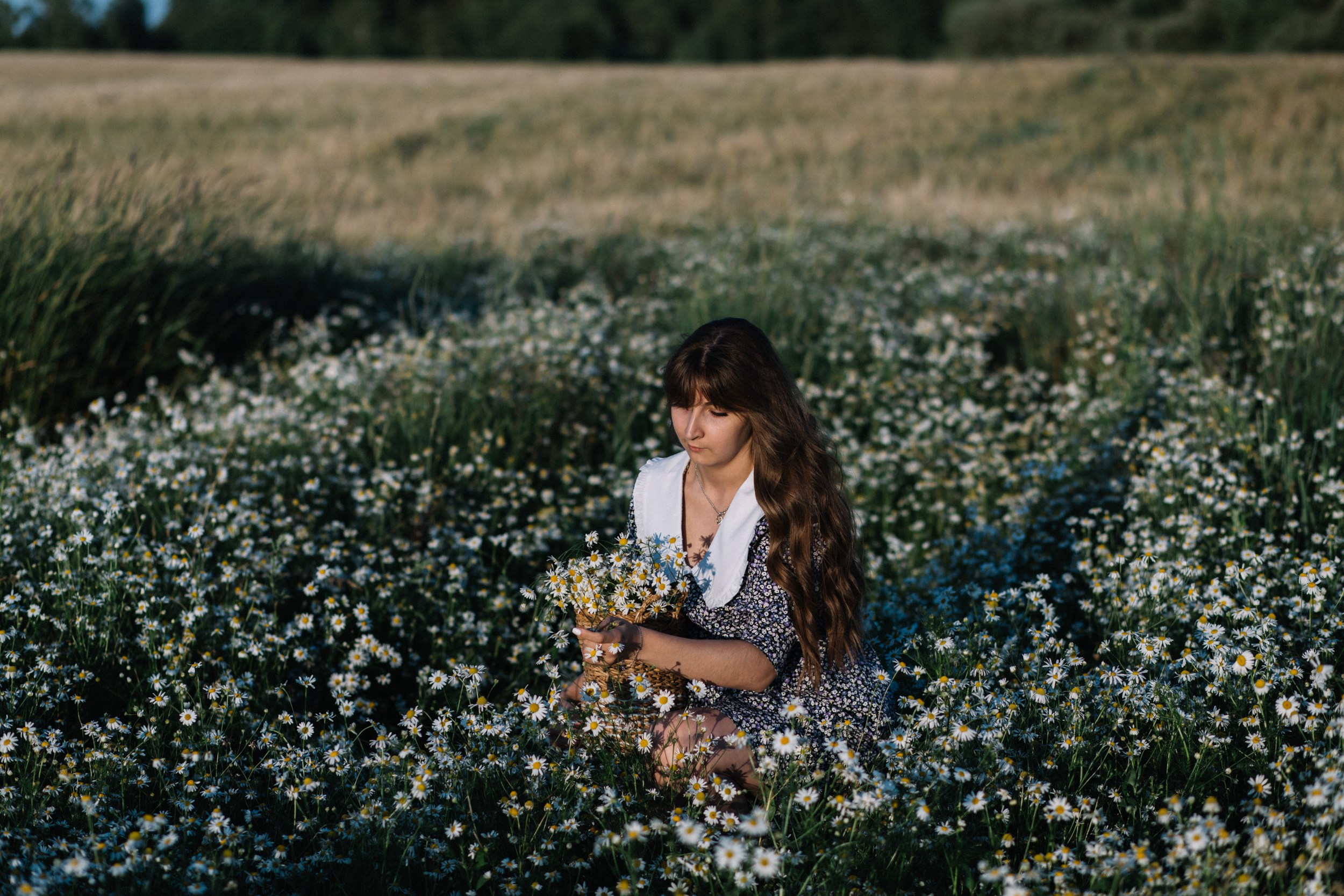 Закат. Свадебный и семейный фотограф Витебск