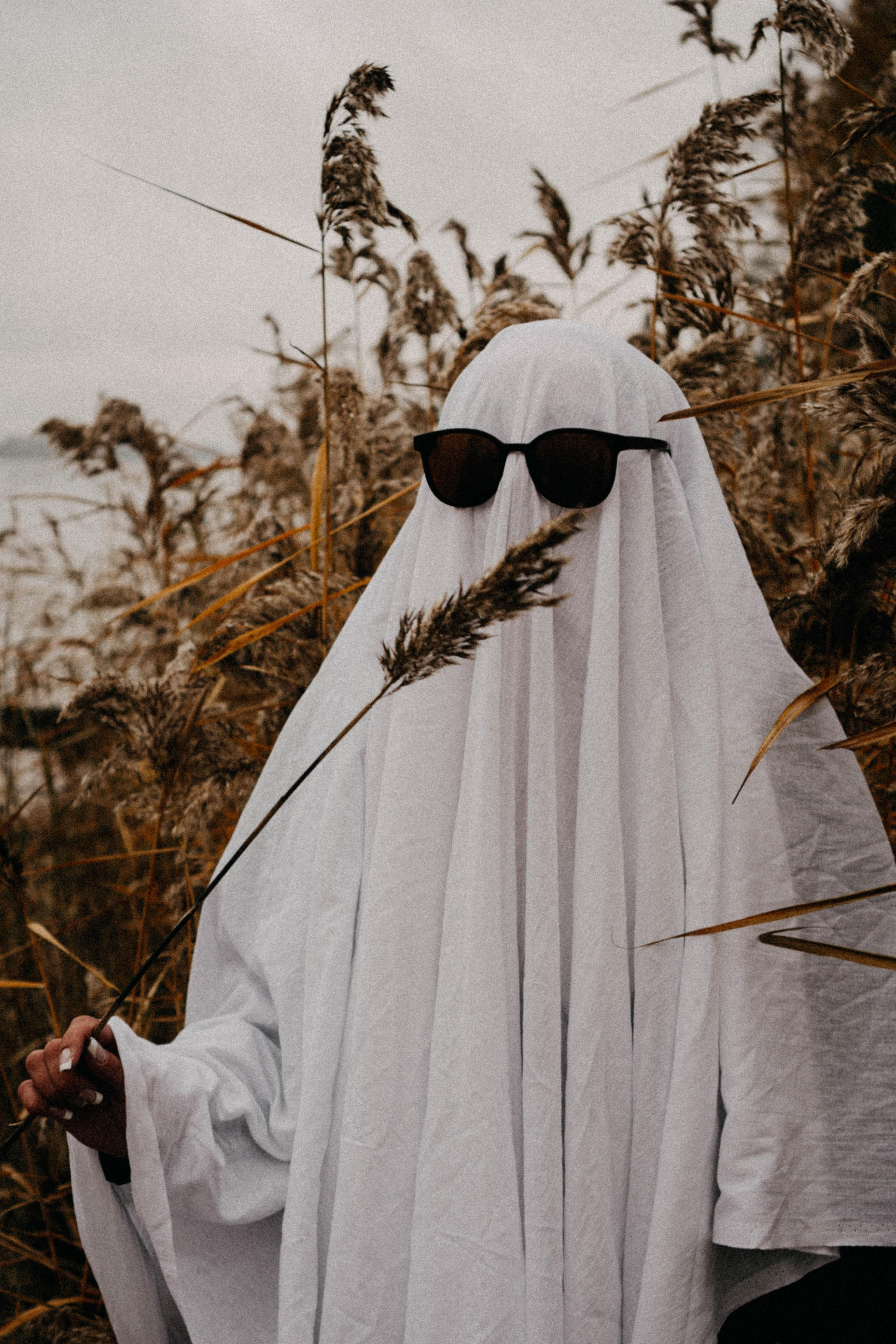 Осеняя. Профессиональный фотограф, Санкт-Петербург — Виктория Богомолова