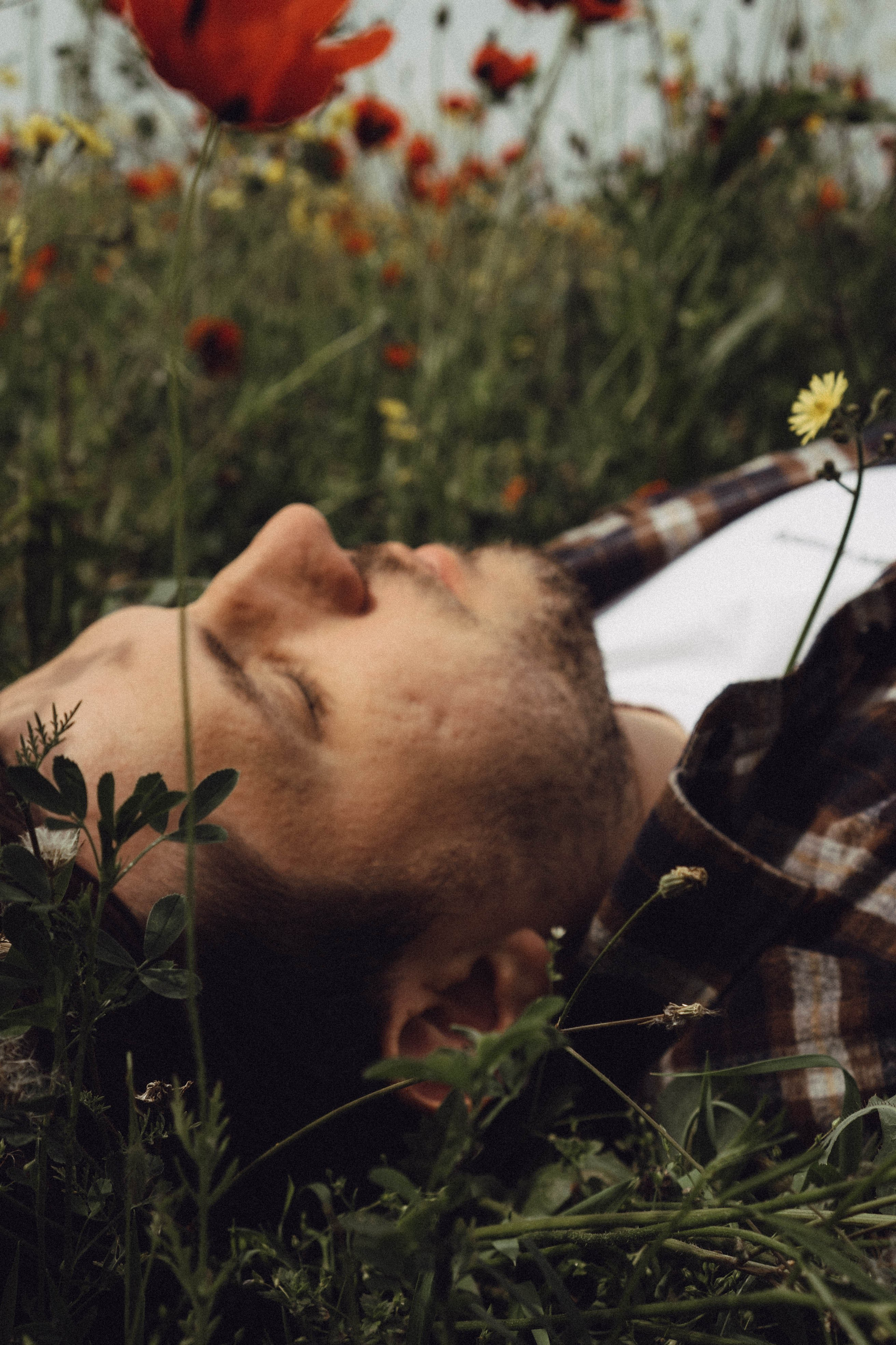 Маки. Профессиональный фотограф, Санкт-Петербург — Виктория Богомолова