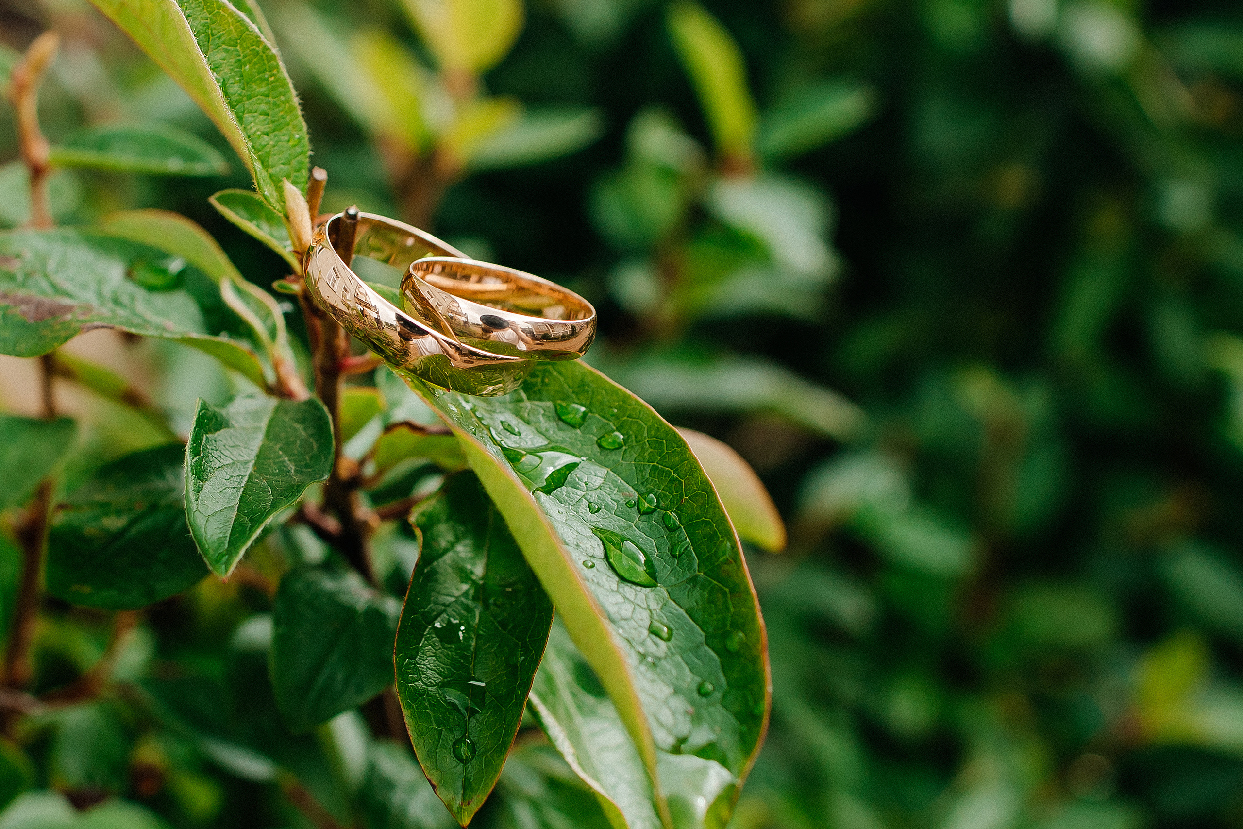 Нежная свадебная церемония в августе. Олег Сверчков | Свадебный фотограф Вологда