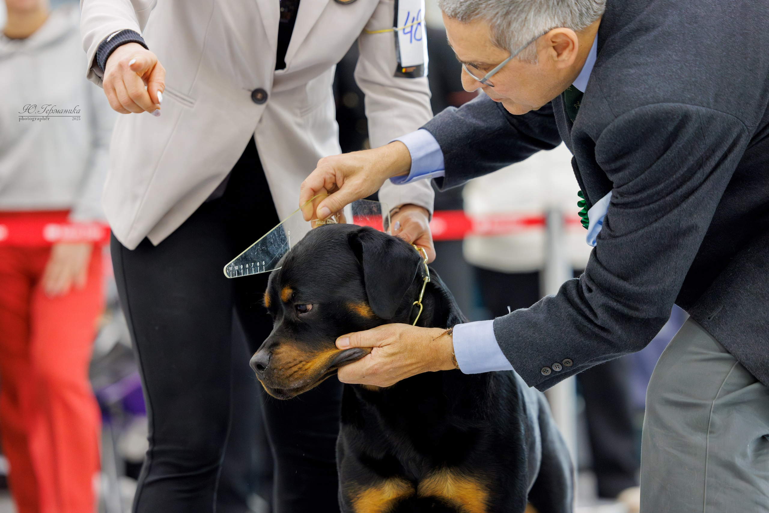 Сабанеевка Казань 25-26.01.2025. Фотограф-анималист Юлия Германика