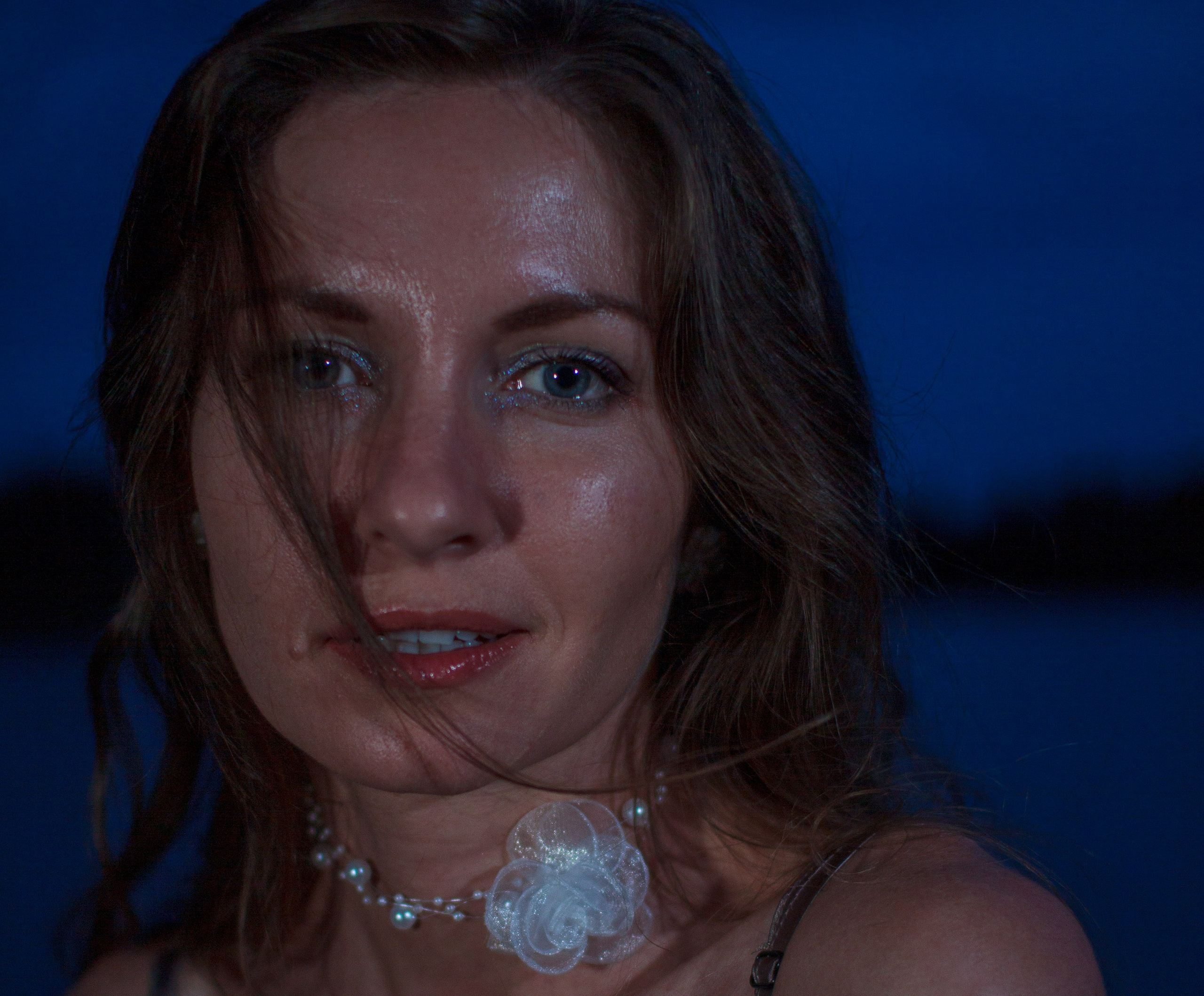 Ноктюрн в сумерках