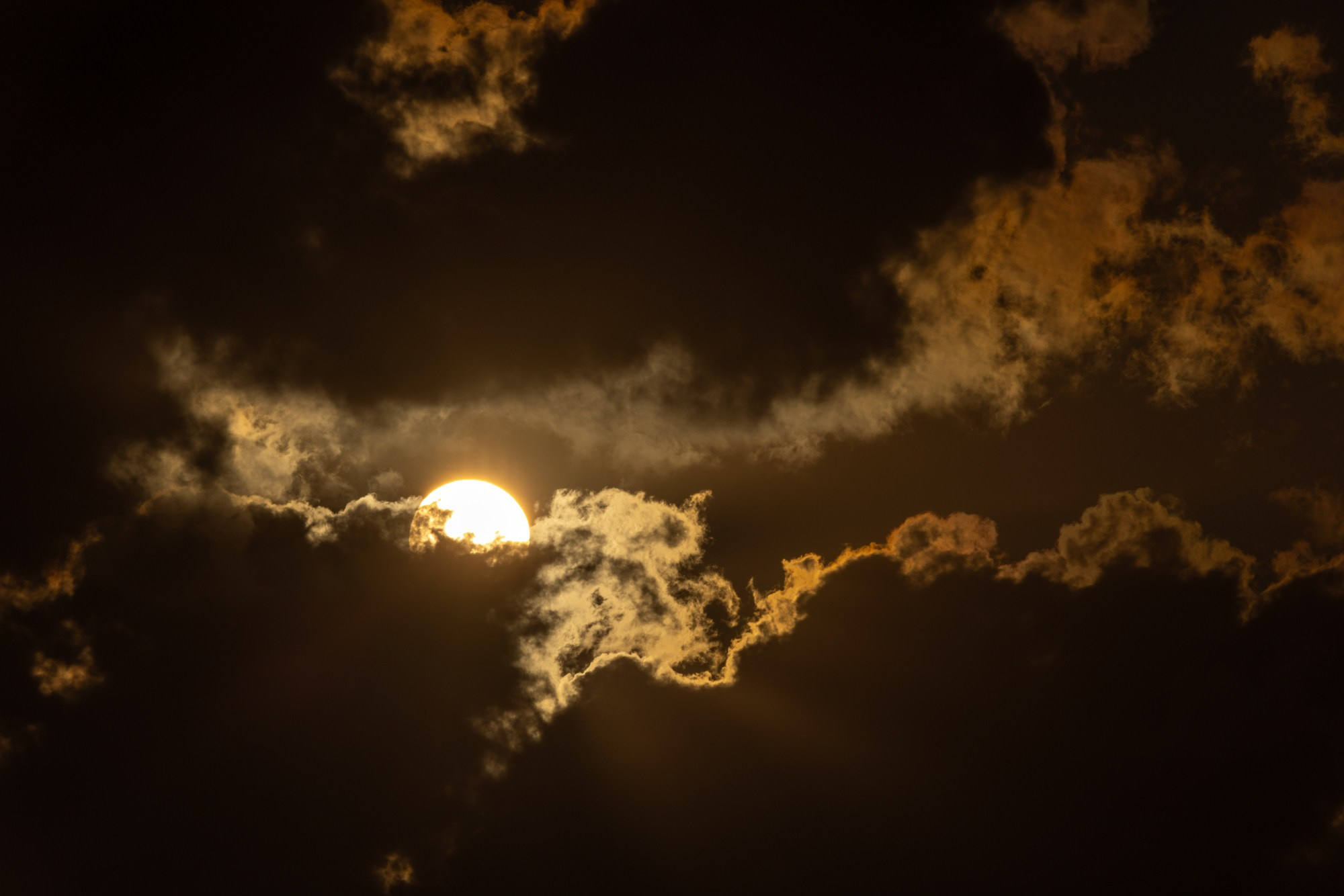 Море и серферы. Репортажный и постановочный Наталья Санникова