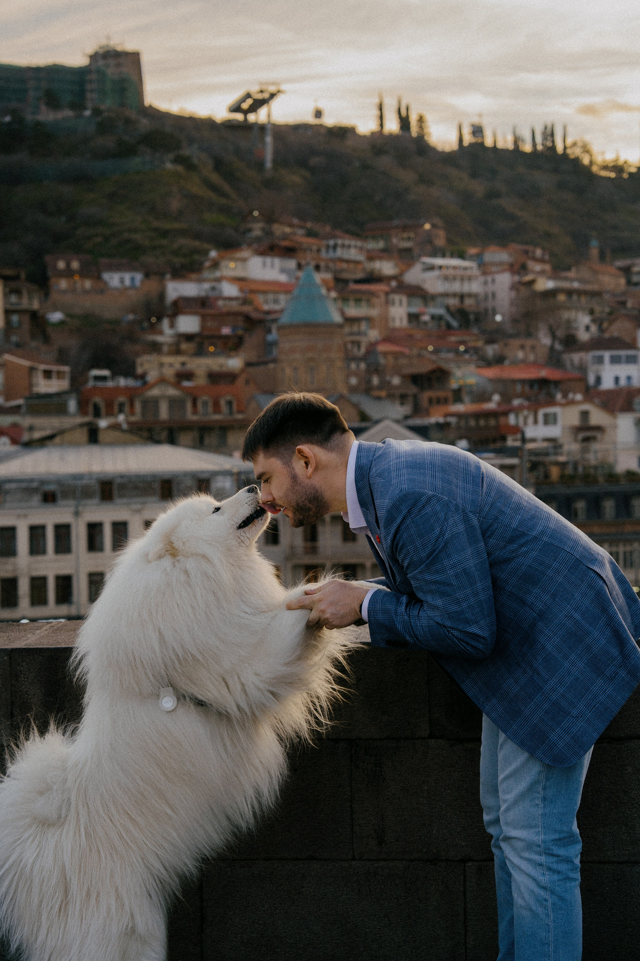 Пушистый свидетель