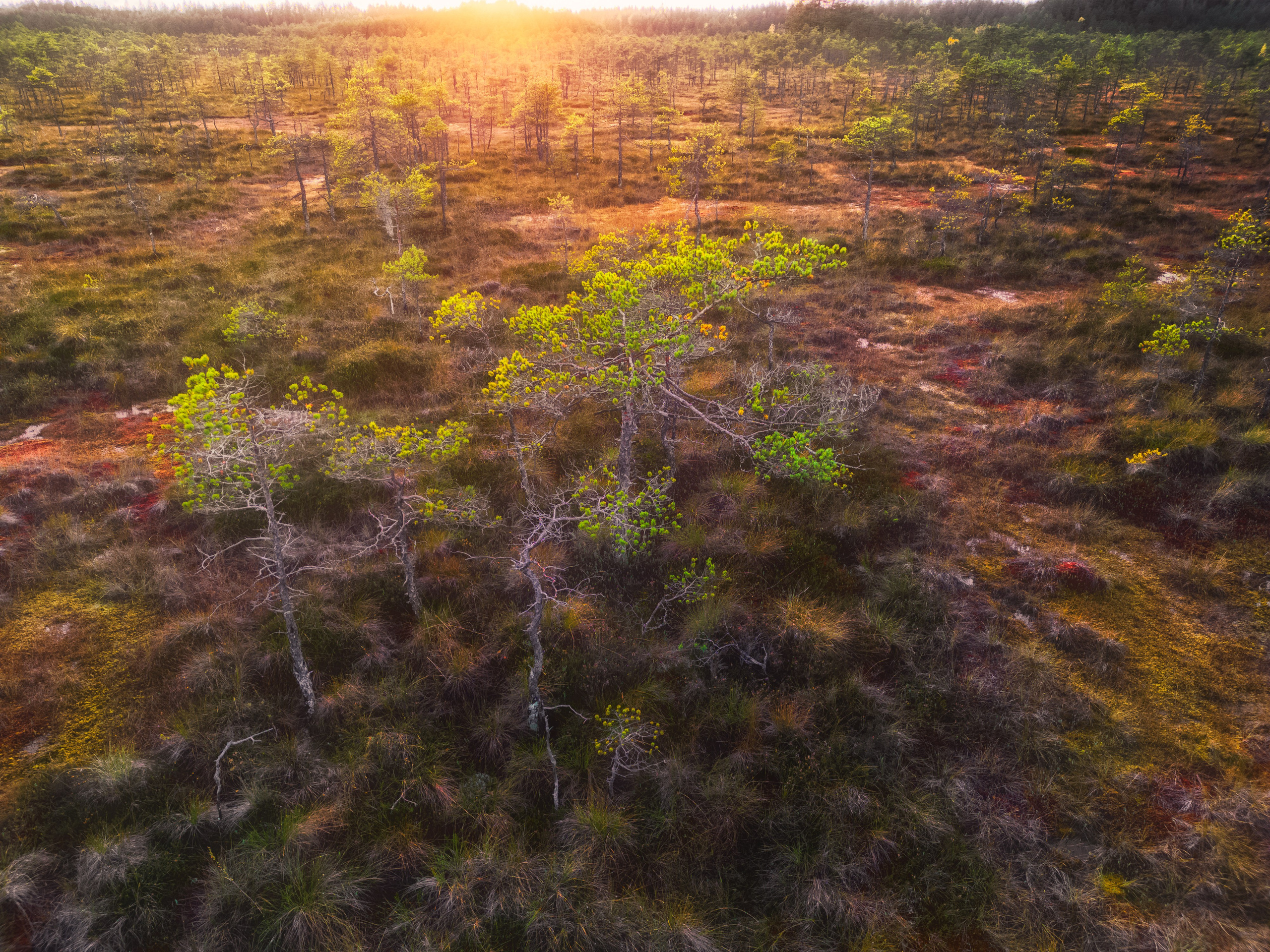 Осенняя Карелия