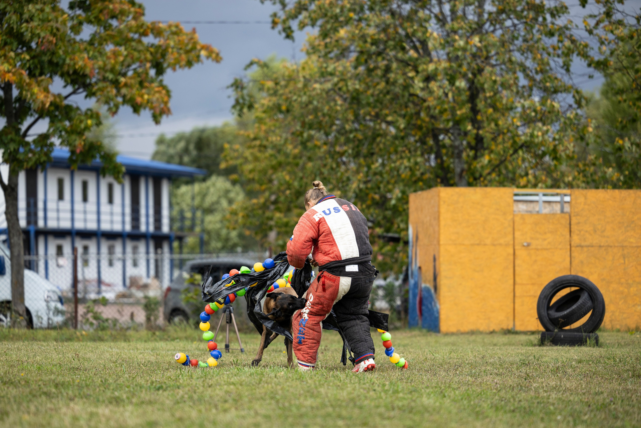 Испытания по Мондьорингу г. Пушкин. Фотограф-анималист Анна Маринич