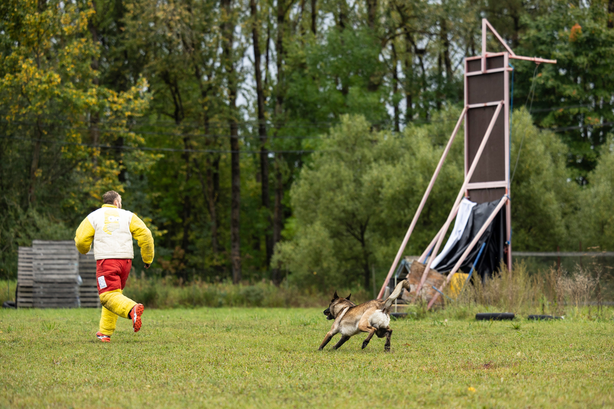 Испытания по Мондьорингу г. Пушкин. Фотограф-анималист Анна Маринич