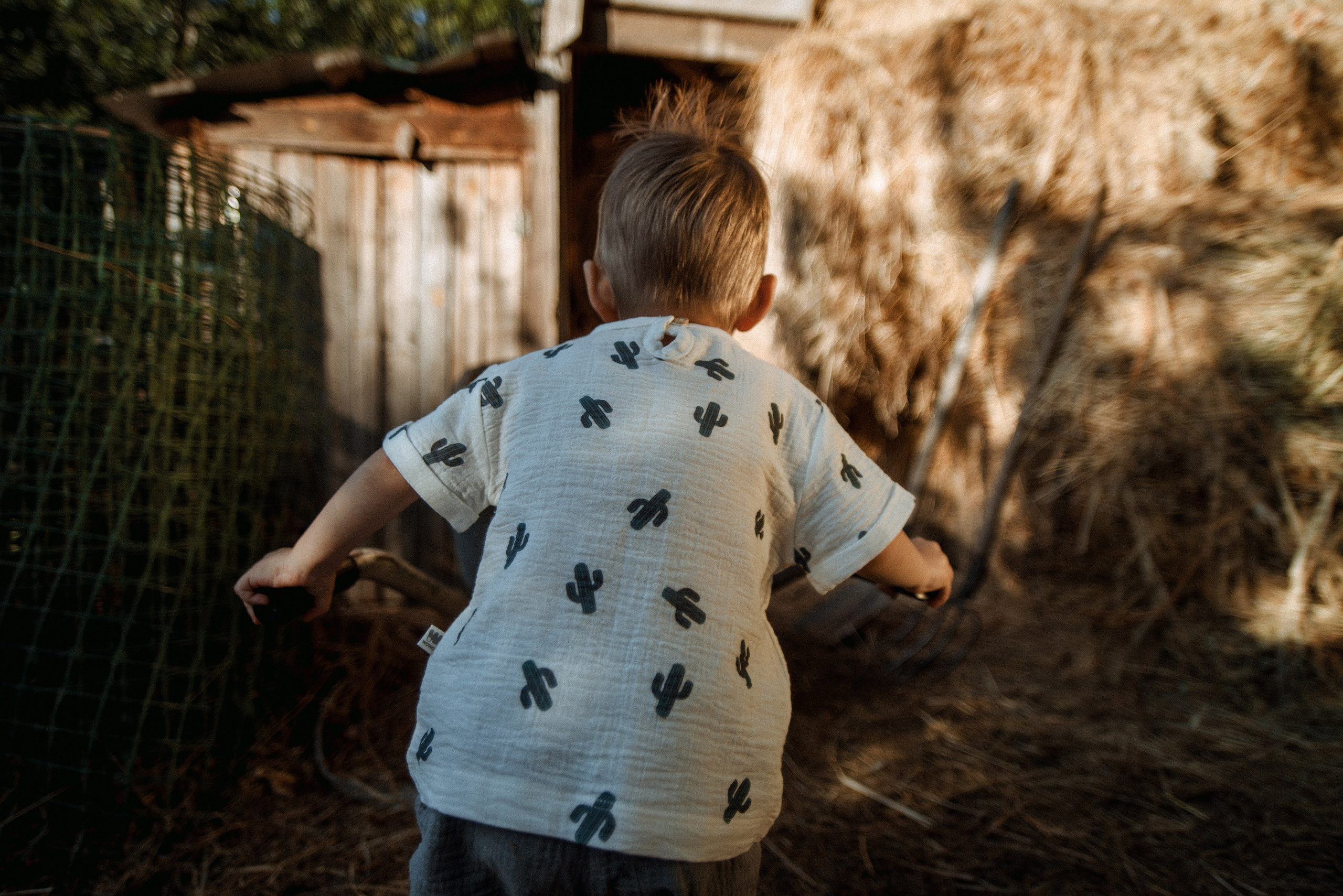 Вот такой парень. Семейный документальный фотограф в Волгограде Мариэта Додина
