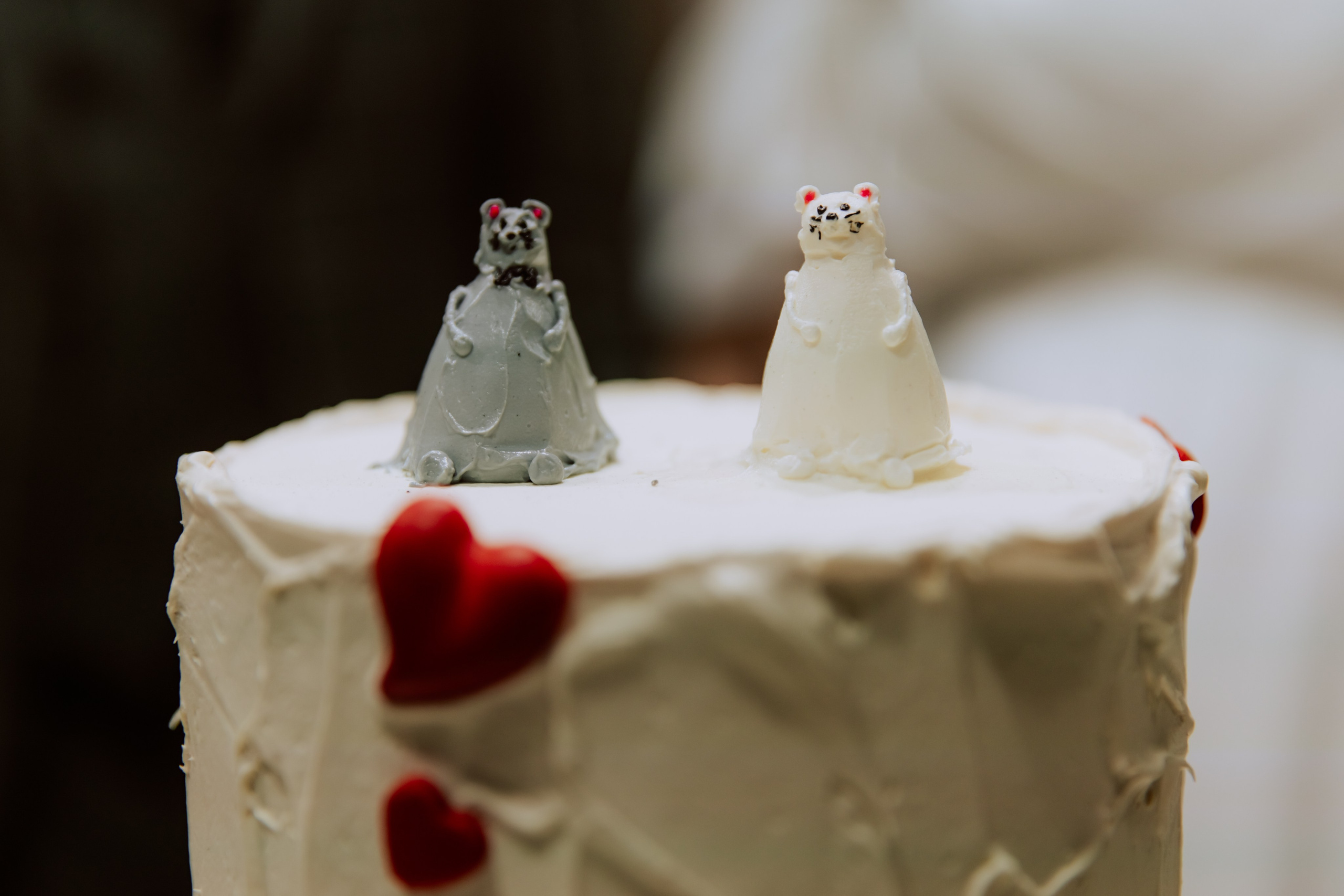 Андрей и Анастасия. Фотограф, который снимает любовь в Санкт-Петербурге и Череповце