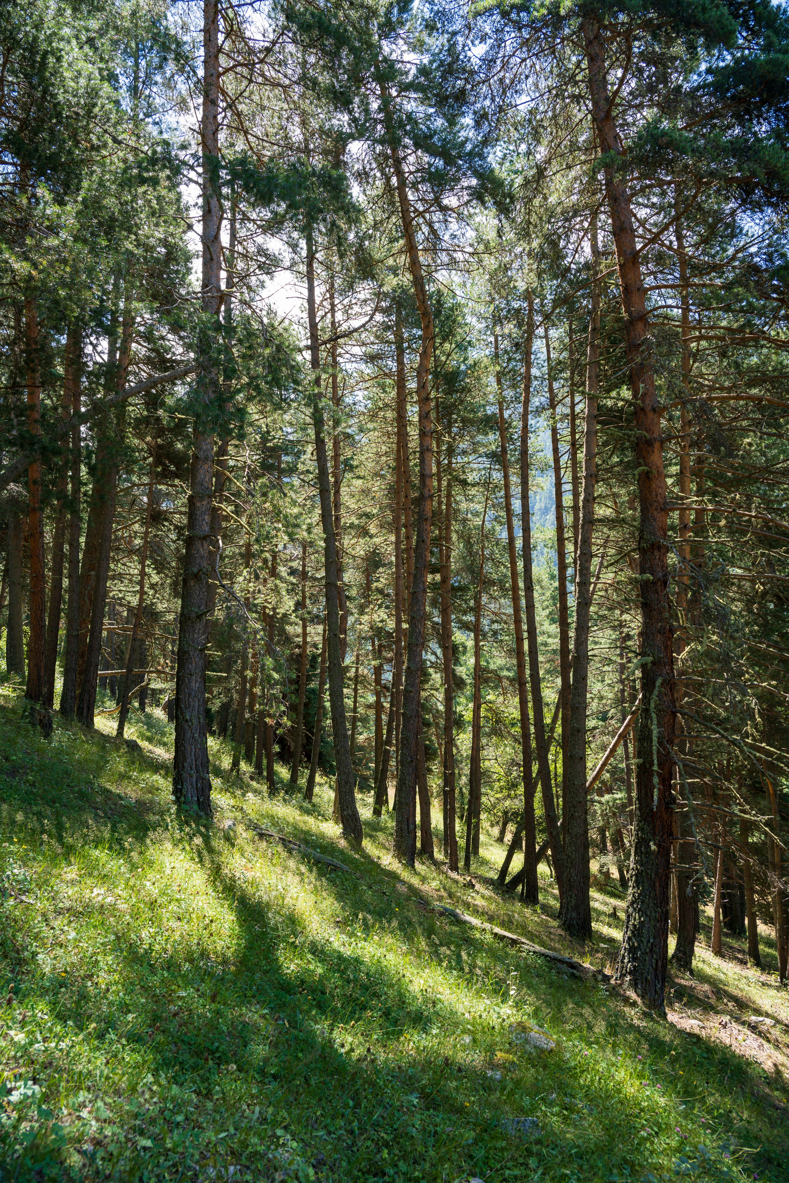 Экспедиция 2025