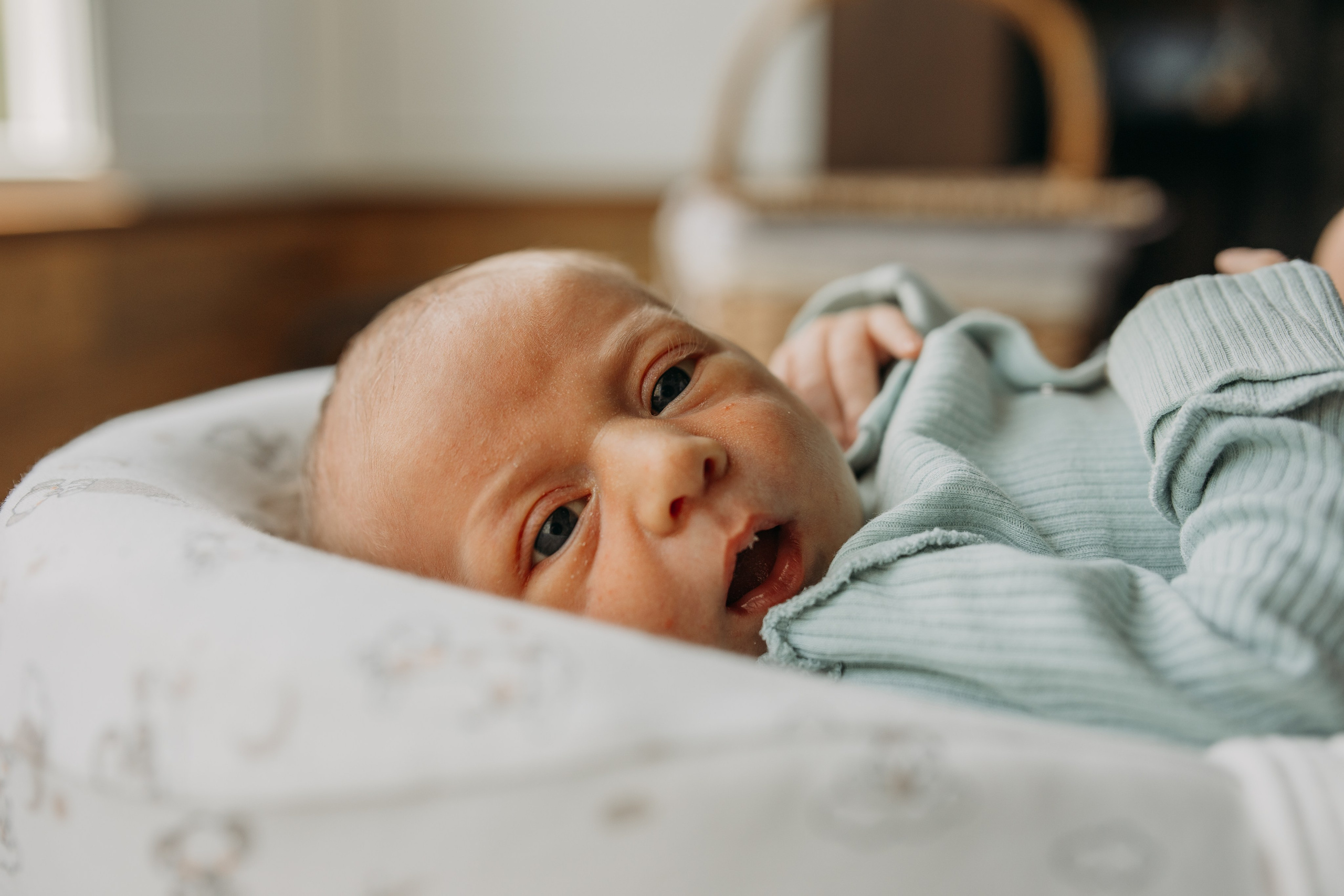 Андрей, Юля, Гриша, Федя. Семейный фотограф в Волгограде Надежда Головко