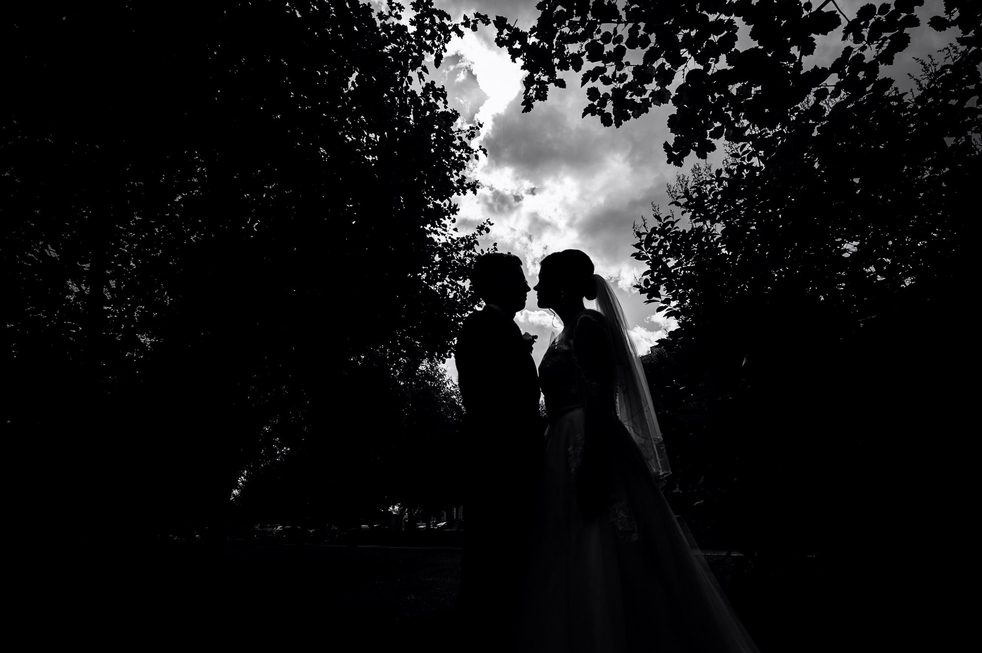 Центральная свадьба. Свадебный и семейный фотограф в Омске Мормулев Михаил