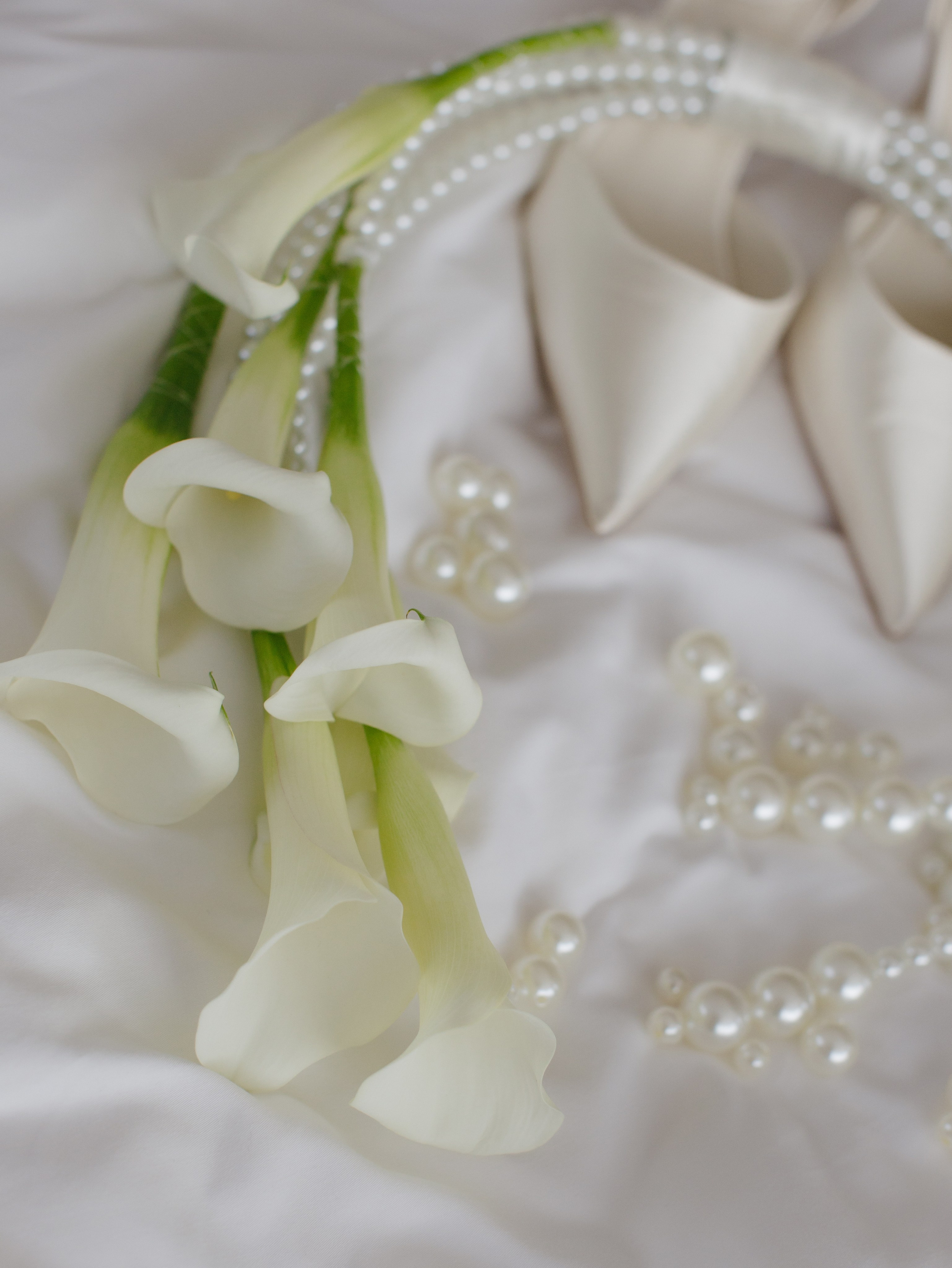 Эмиль да Дарья. Destination wedding photographer Mary Korenchuk