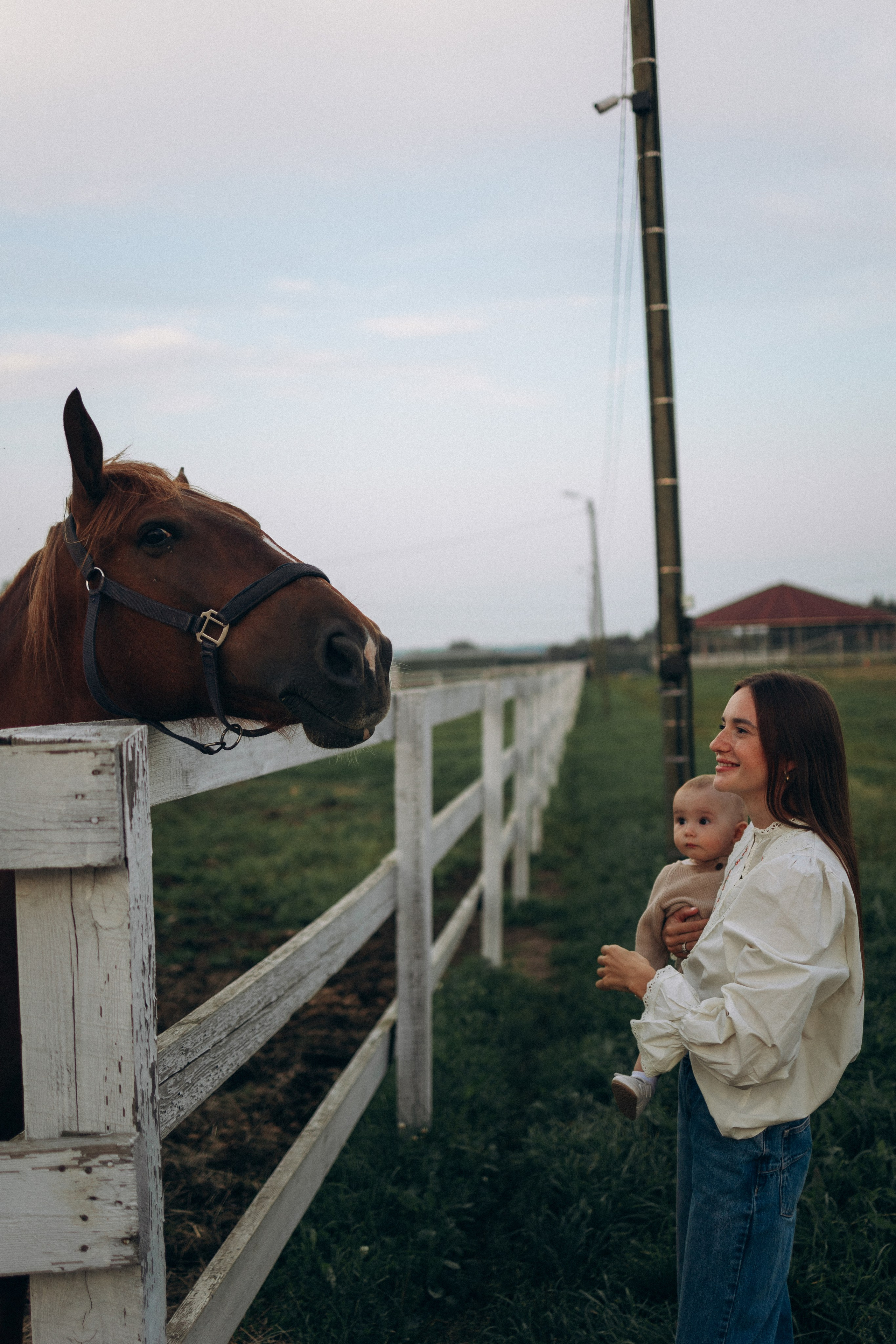 Семейная. Фотораф — анималист Мария Шистка