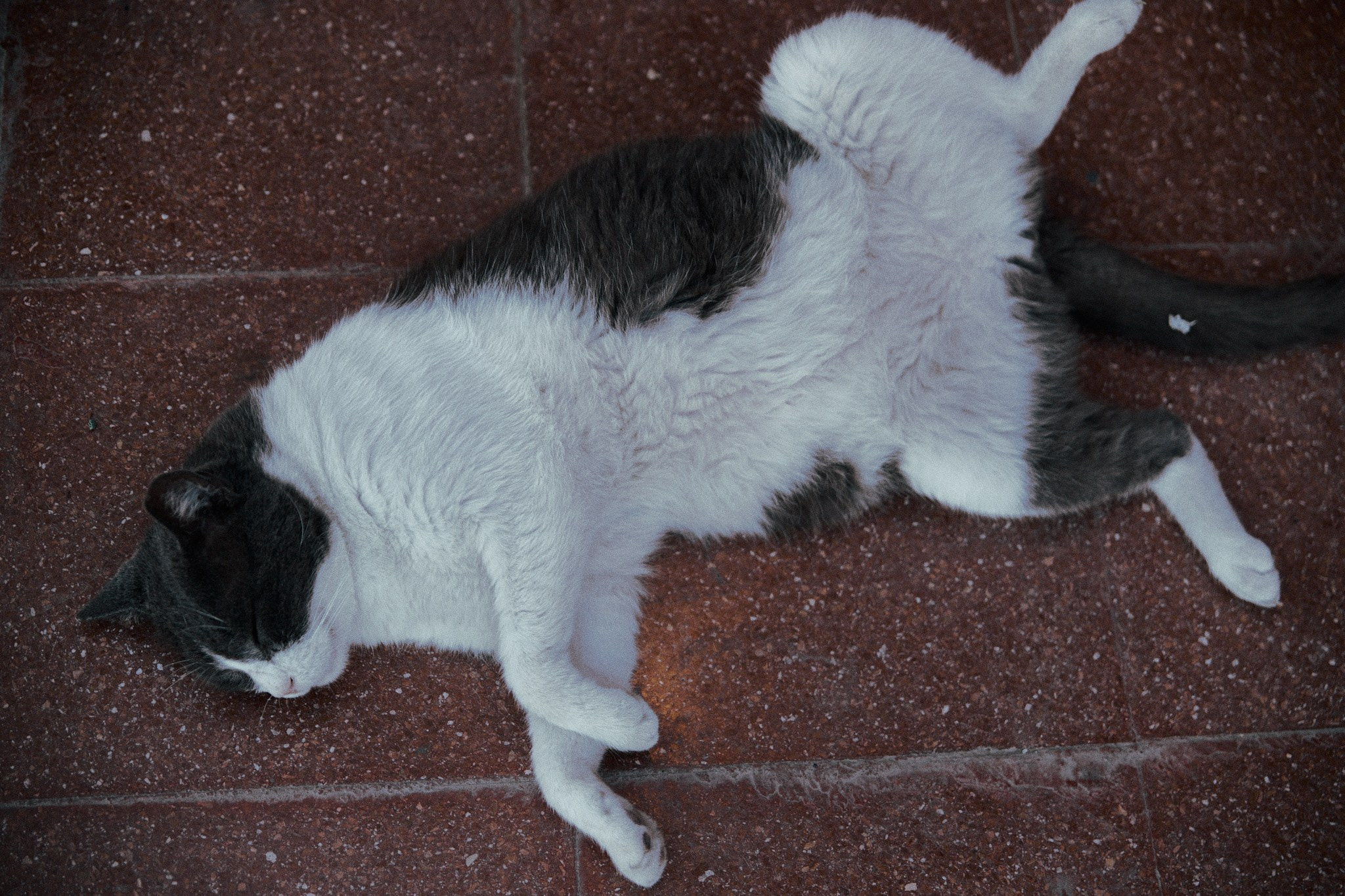 Улица горизонтальная. Jorgis — фотограф в Хургаде / обучение фотографии