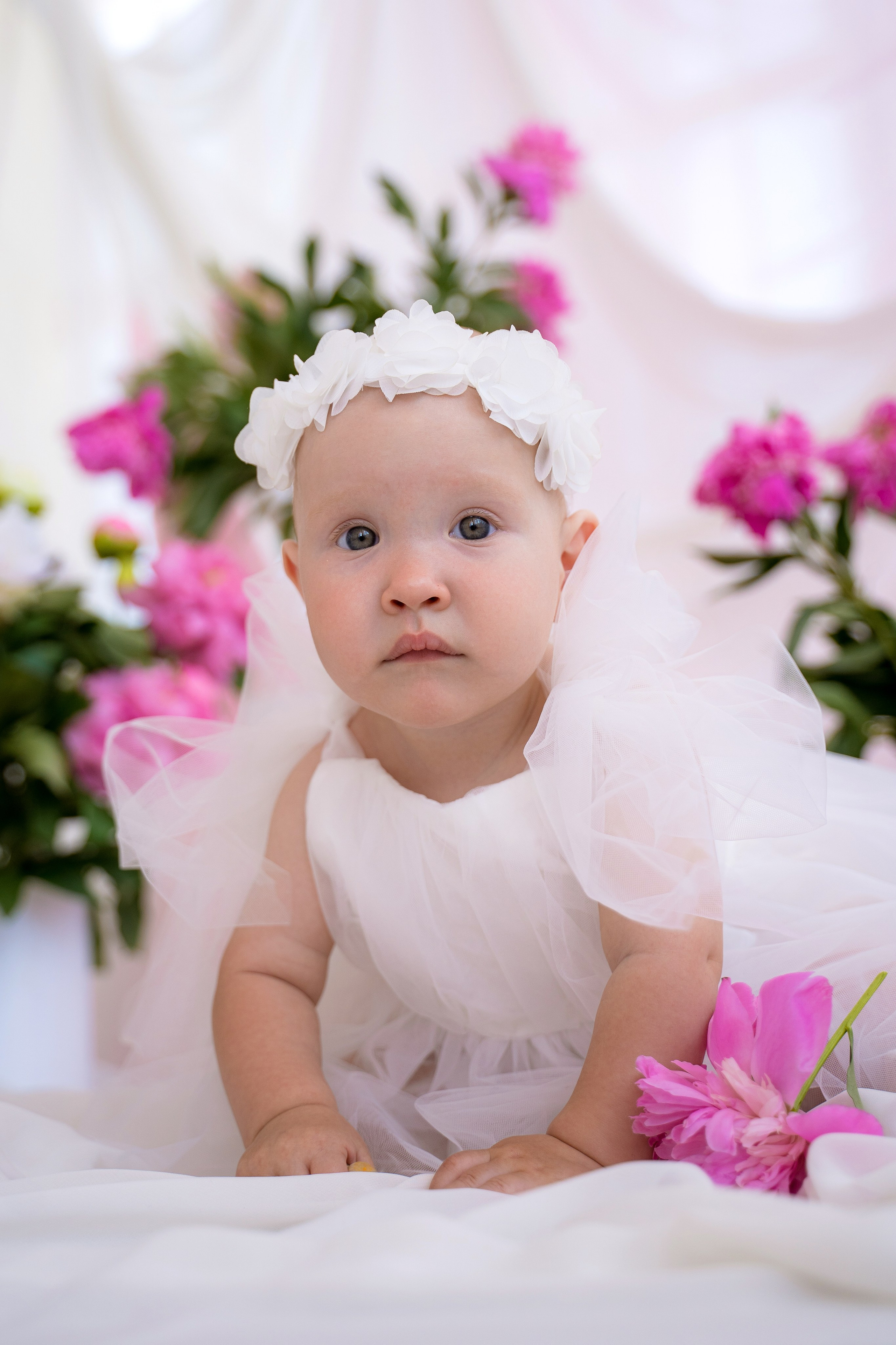 Пионы. Фотостудия Малина в городе Улан-Удэ. Фотограф Ирина Жарникова