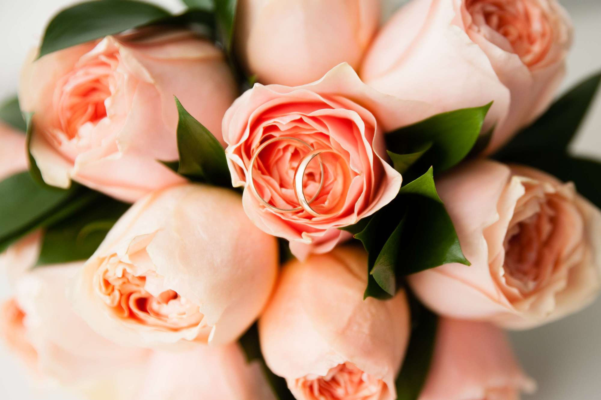 Свадьбы. Профессиональный фотограф Александра Харламова