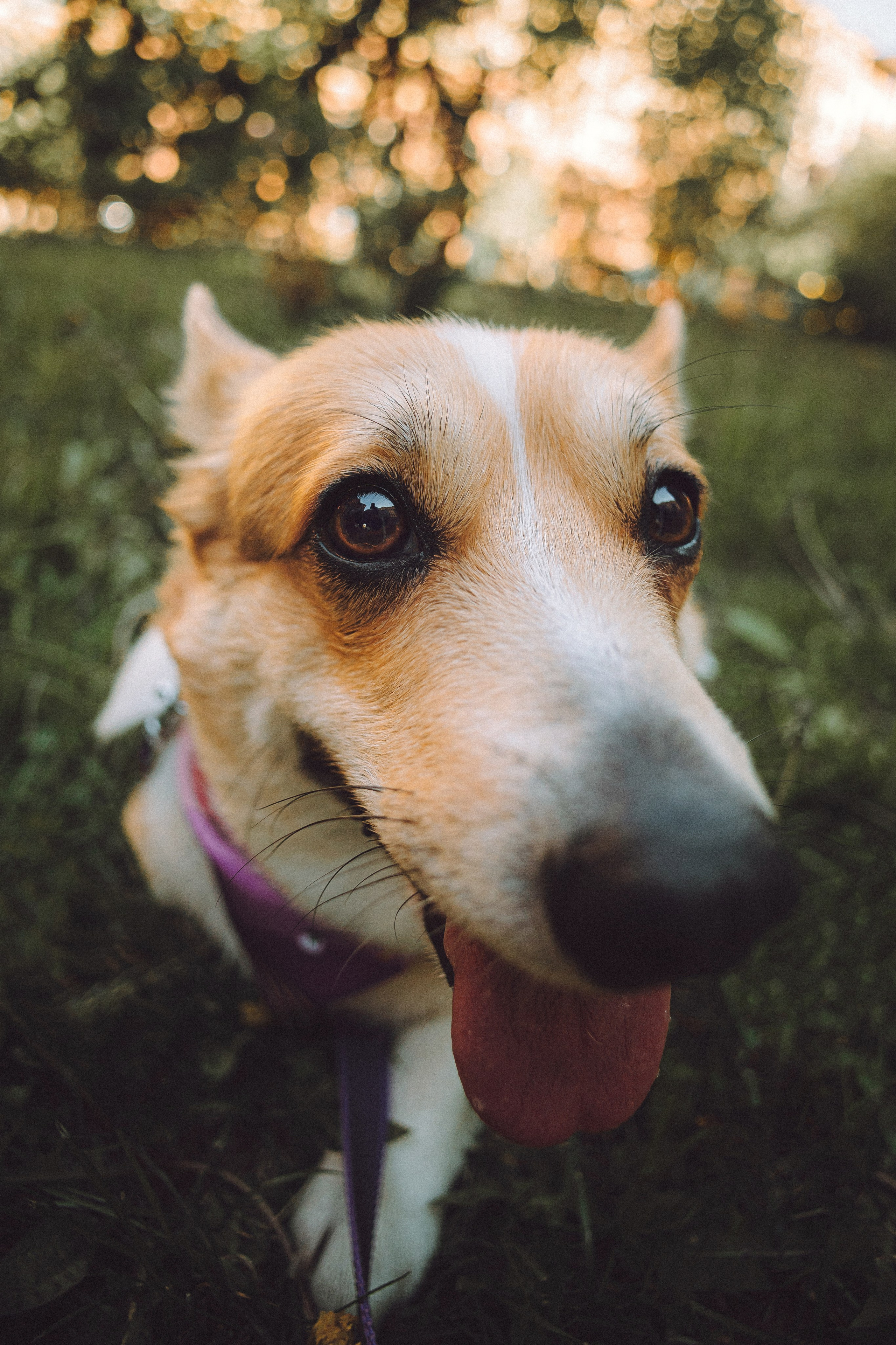 Вика и Мейзи