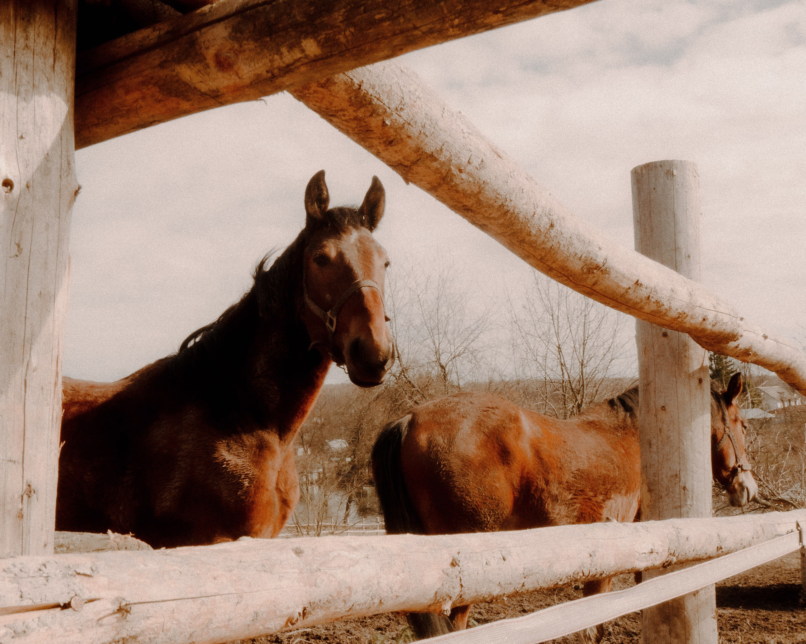 Тула '25. Фёдор Малюгин. Ваш бади в визуале