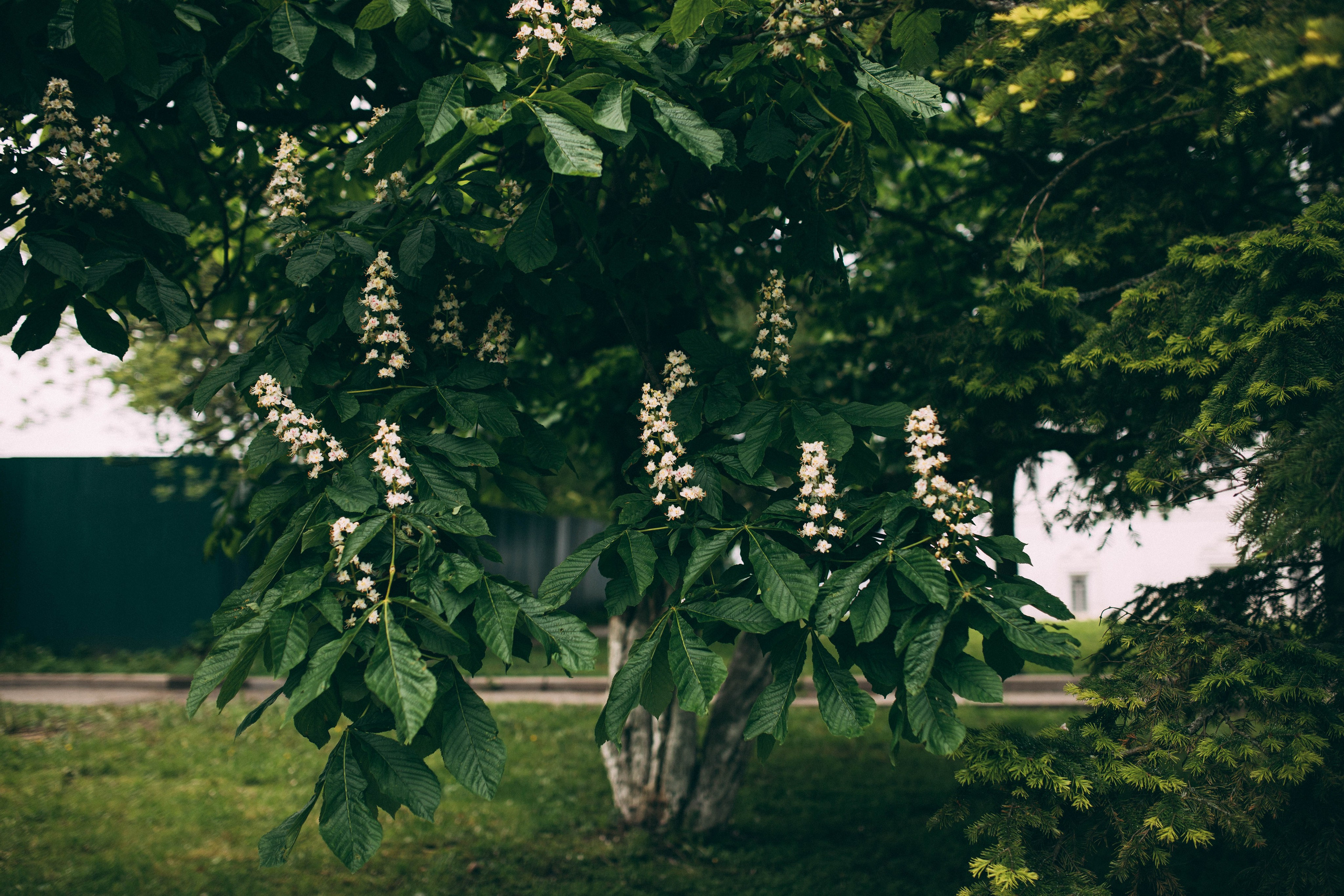 Фотограф Ярославль