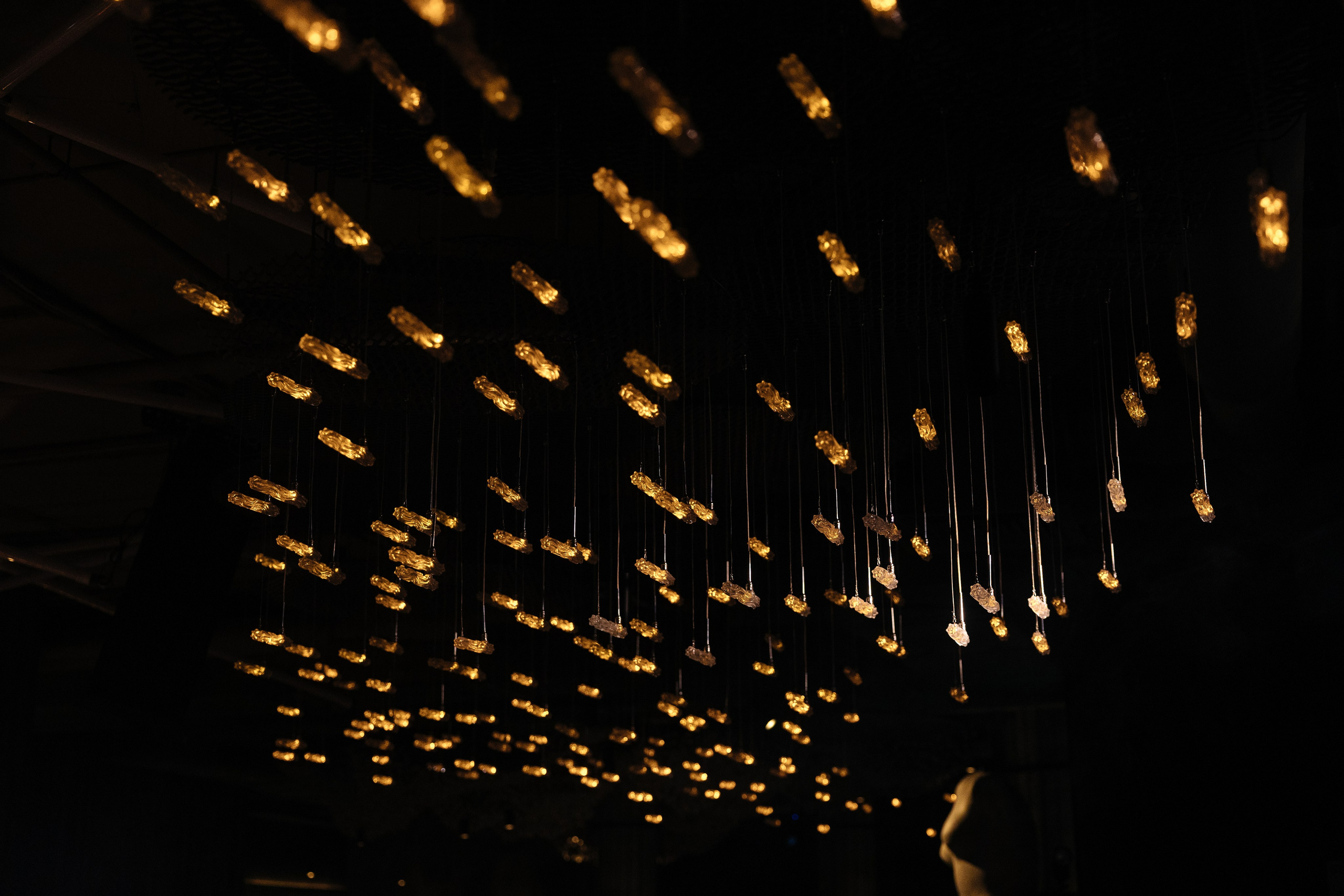 Ростов на Дону Maison 05 03 2025. Свадебный фотограф в Ростове-на-Дону Васильченко Сергей