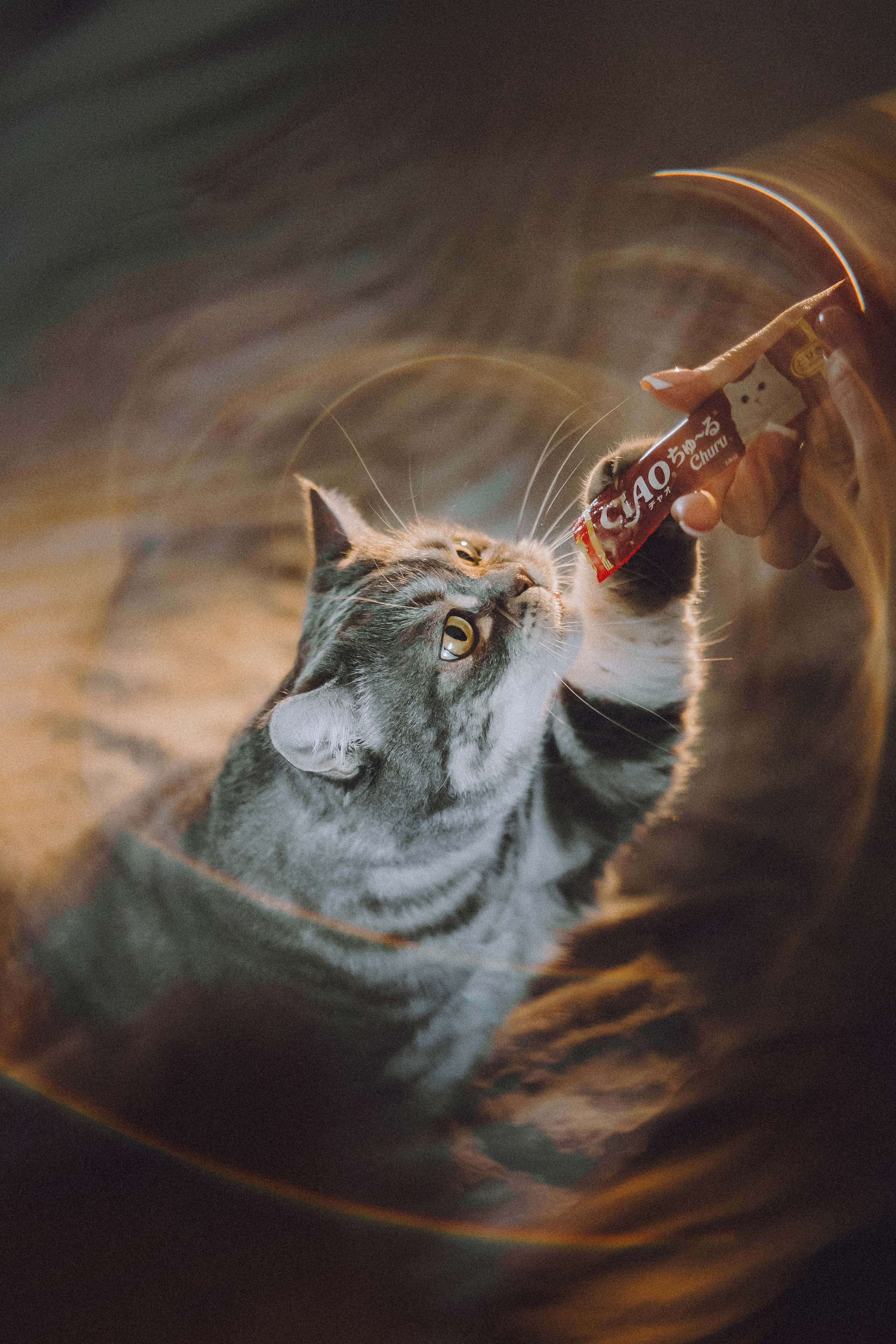 Яся и ее семья