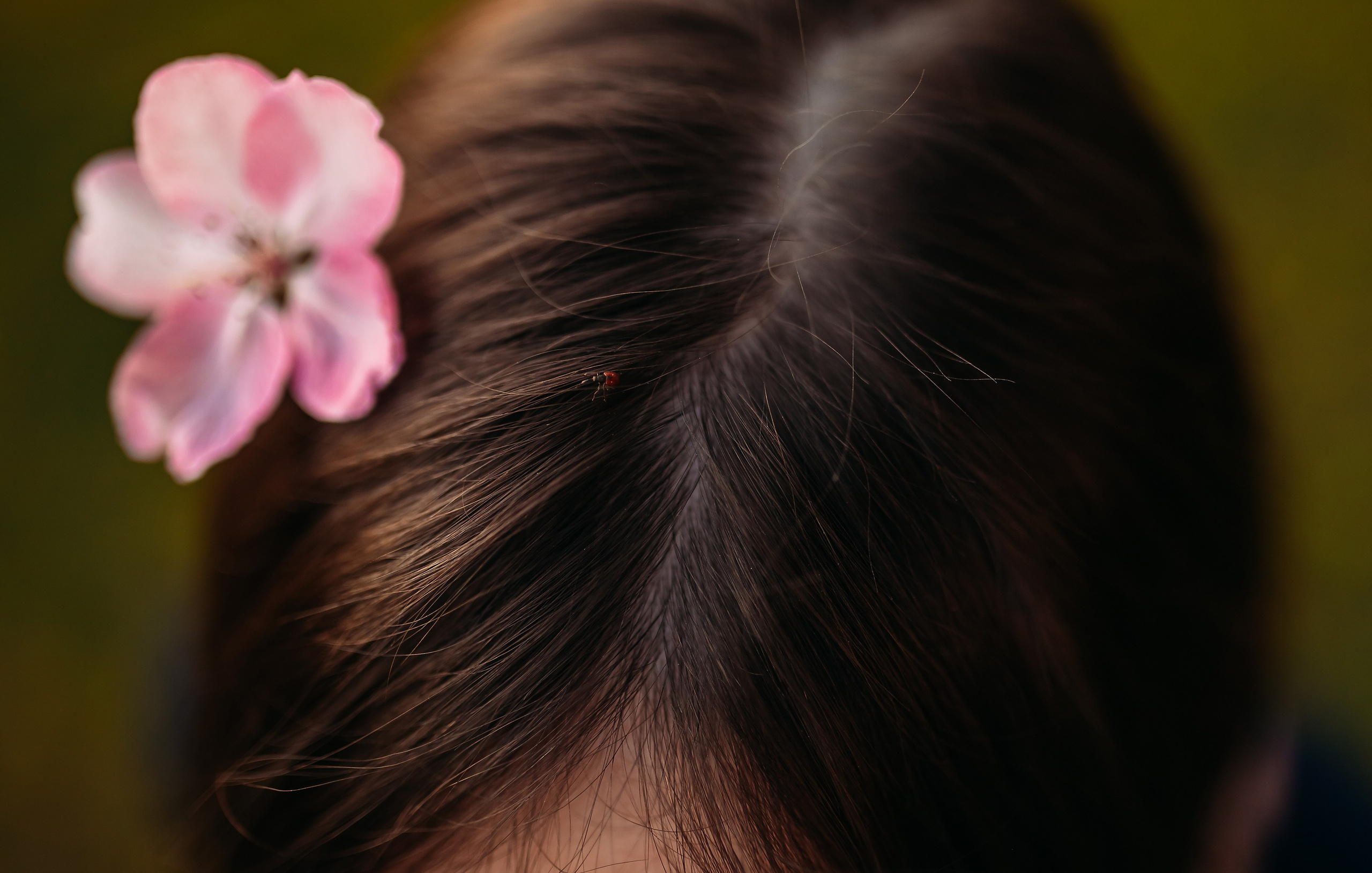 Анна. Семейный и детский фотограф в Нижнем Новгороде Наумова Лидия