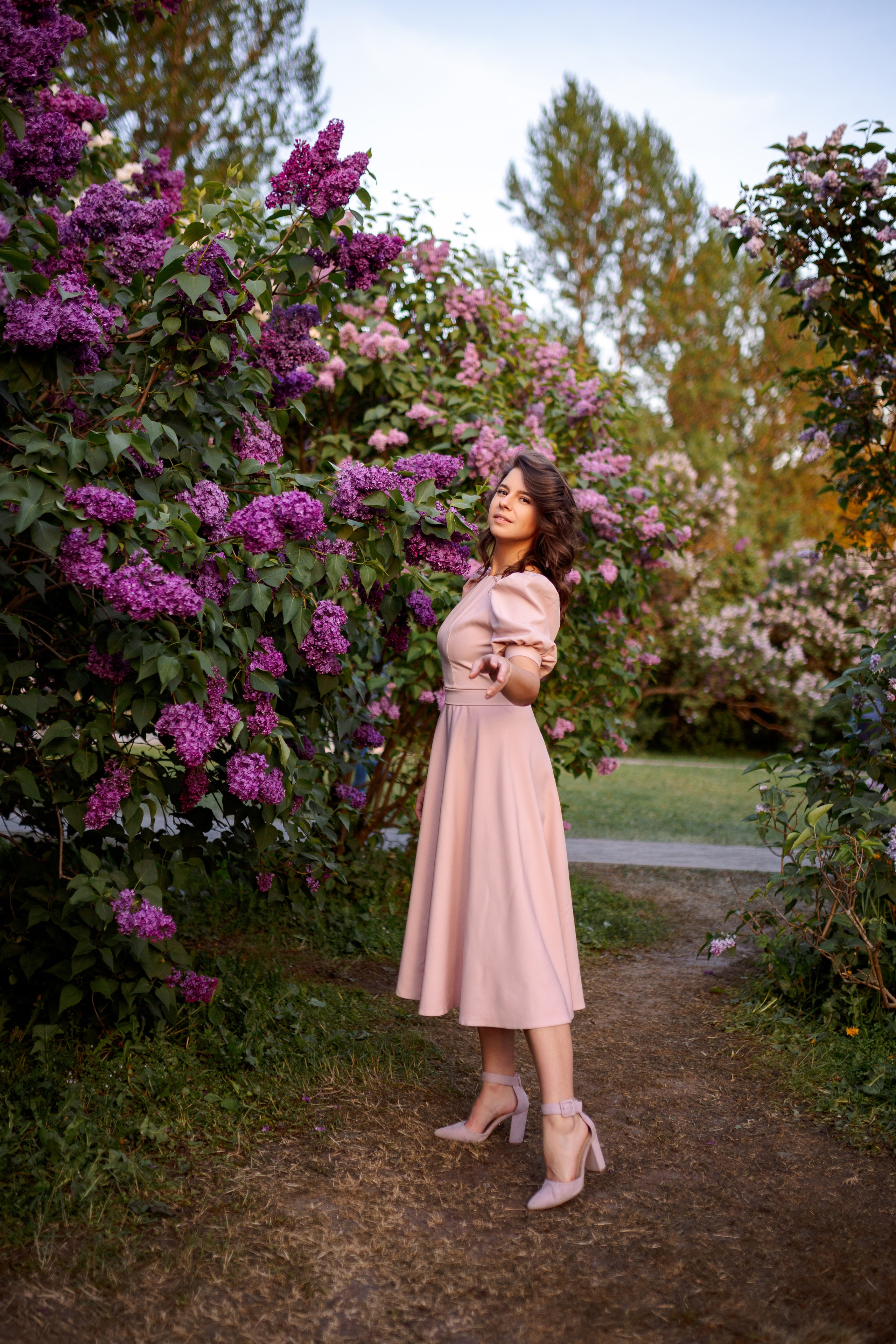 Цветение в сиреневом саду. Главная