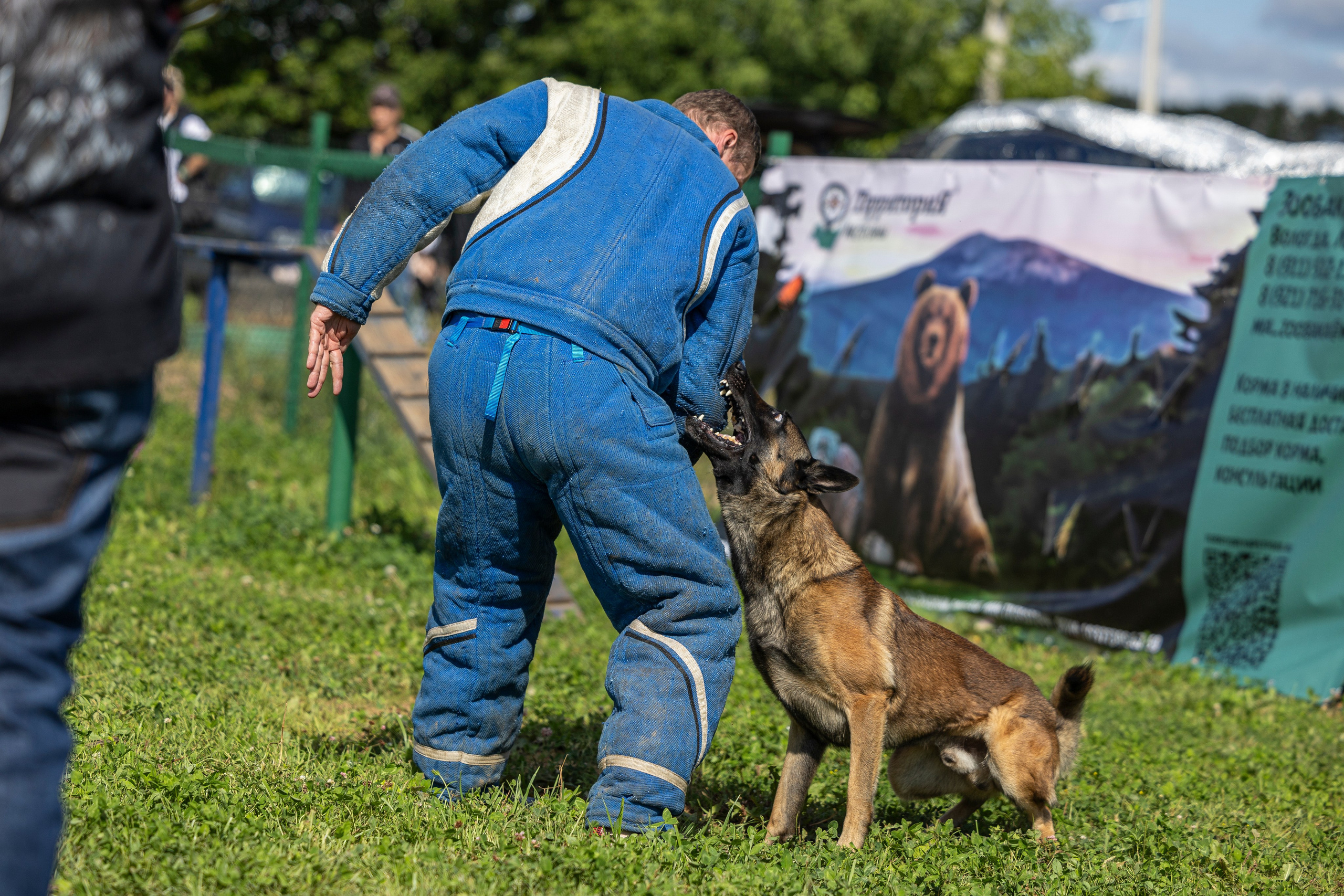 Соревнования по Мондьорингу г. Вологда 10-11.08.2024. Фотограф-анималист Анна Маринич