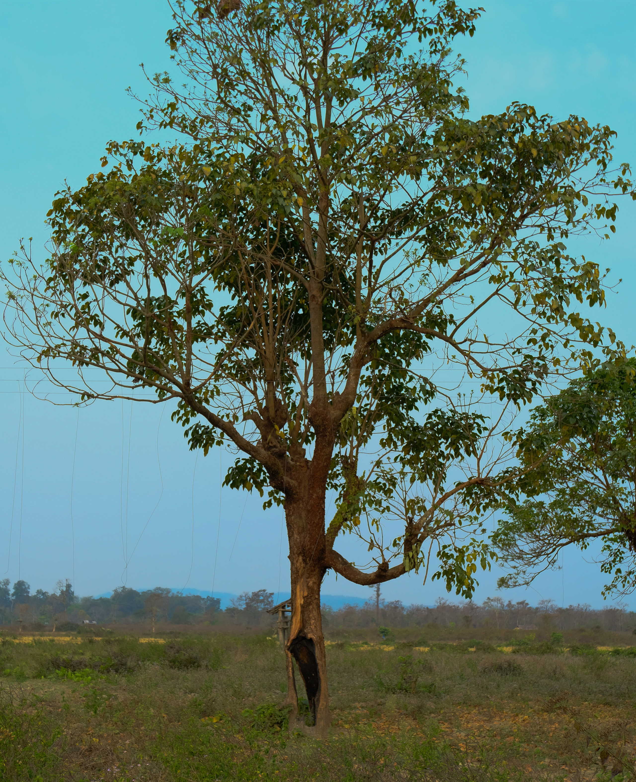 Индия штат Аруначал-Прадеш. Фотографии из путешествий