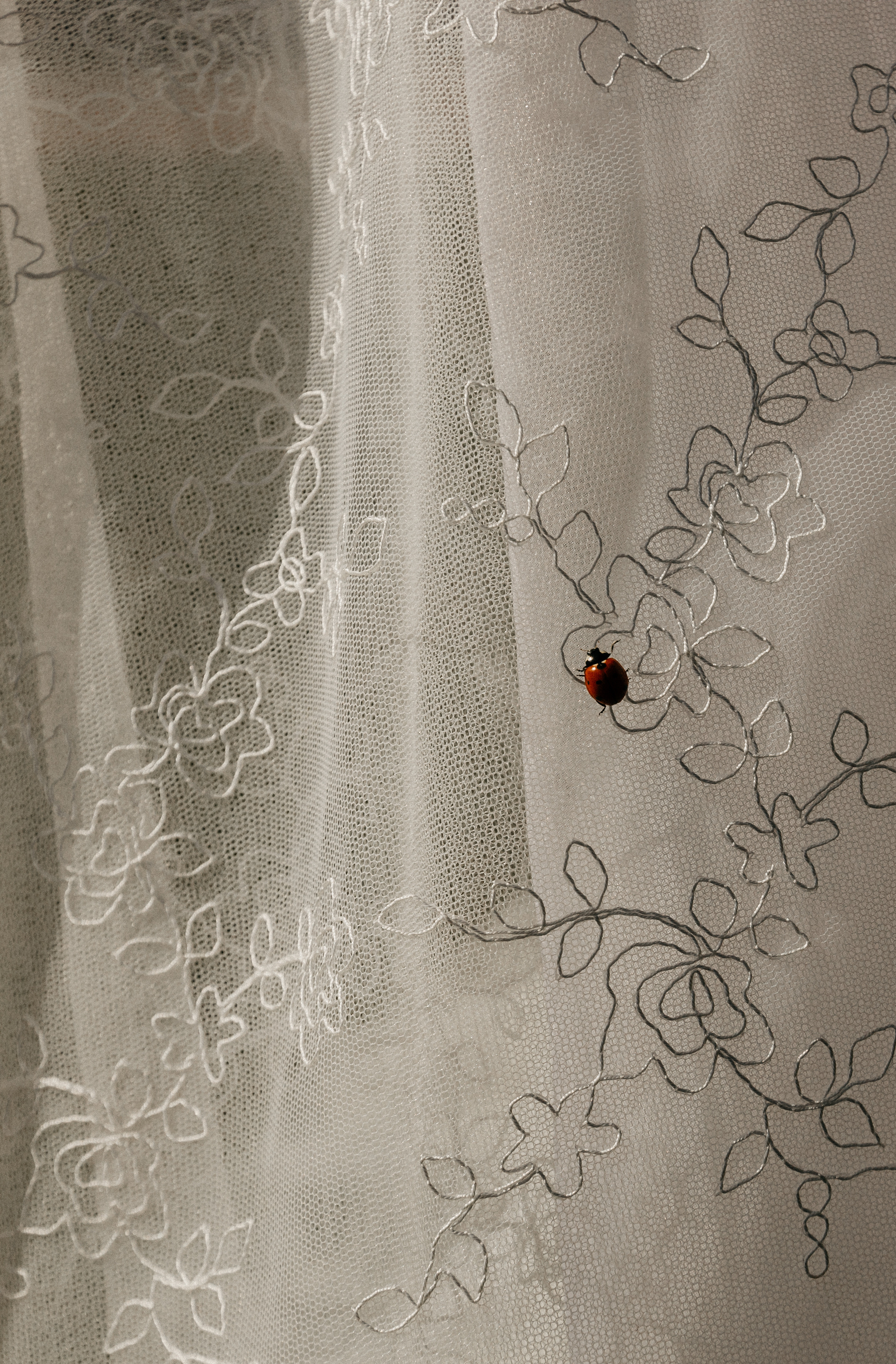 Wedding day U|D. Свадебный фотограф Таня Караисаева