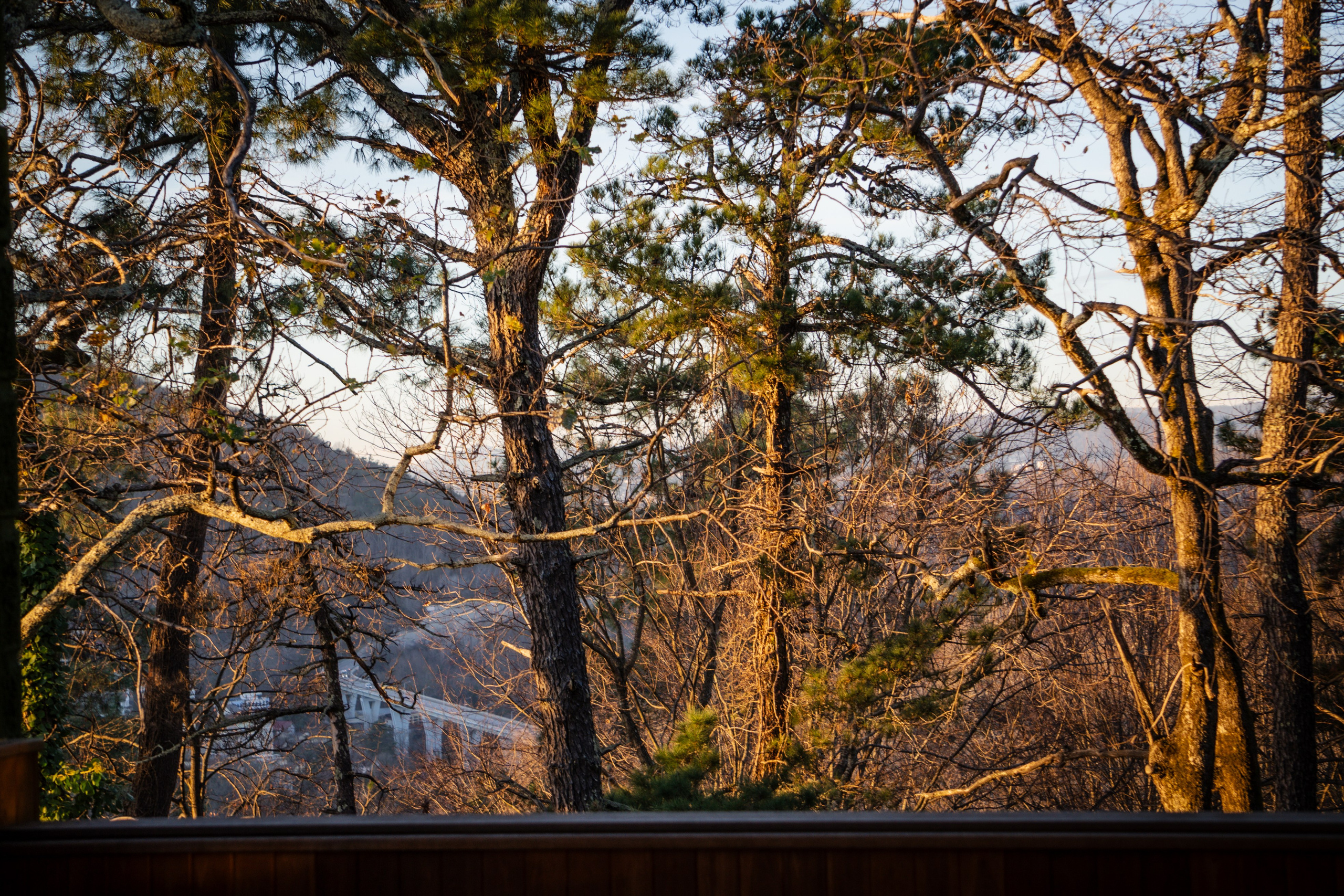 Дача Сталина в Сочи. Yaratezza production