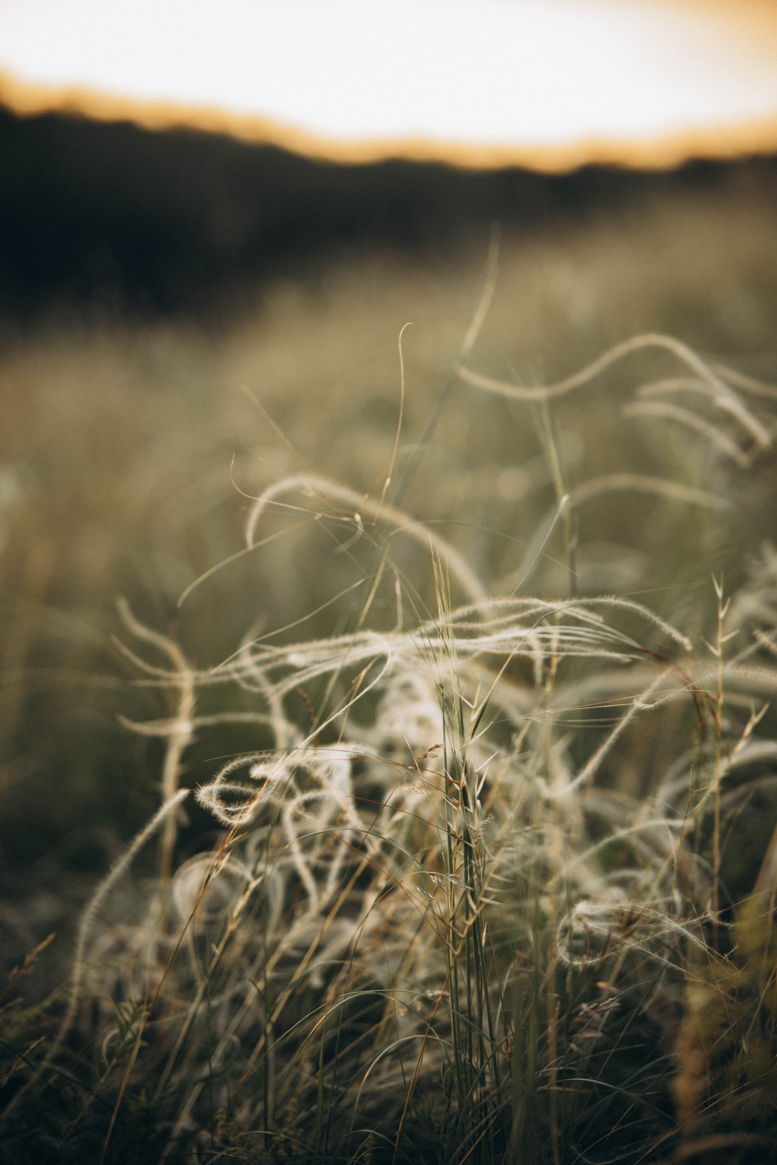 Теплый закат. Семейный Фотограф и Видеограф в Уфе Айгуль Васильева
