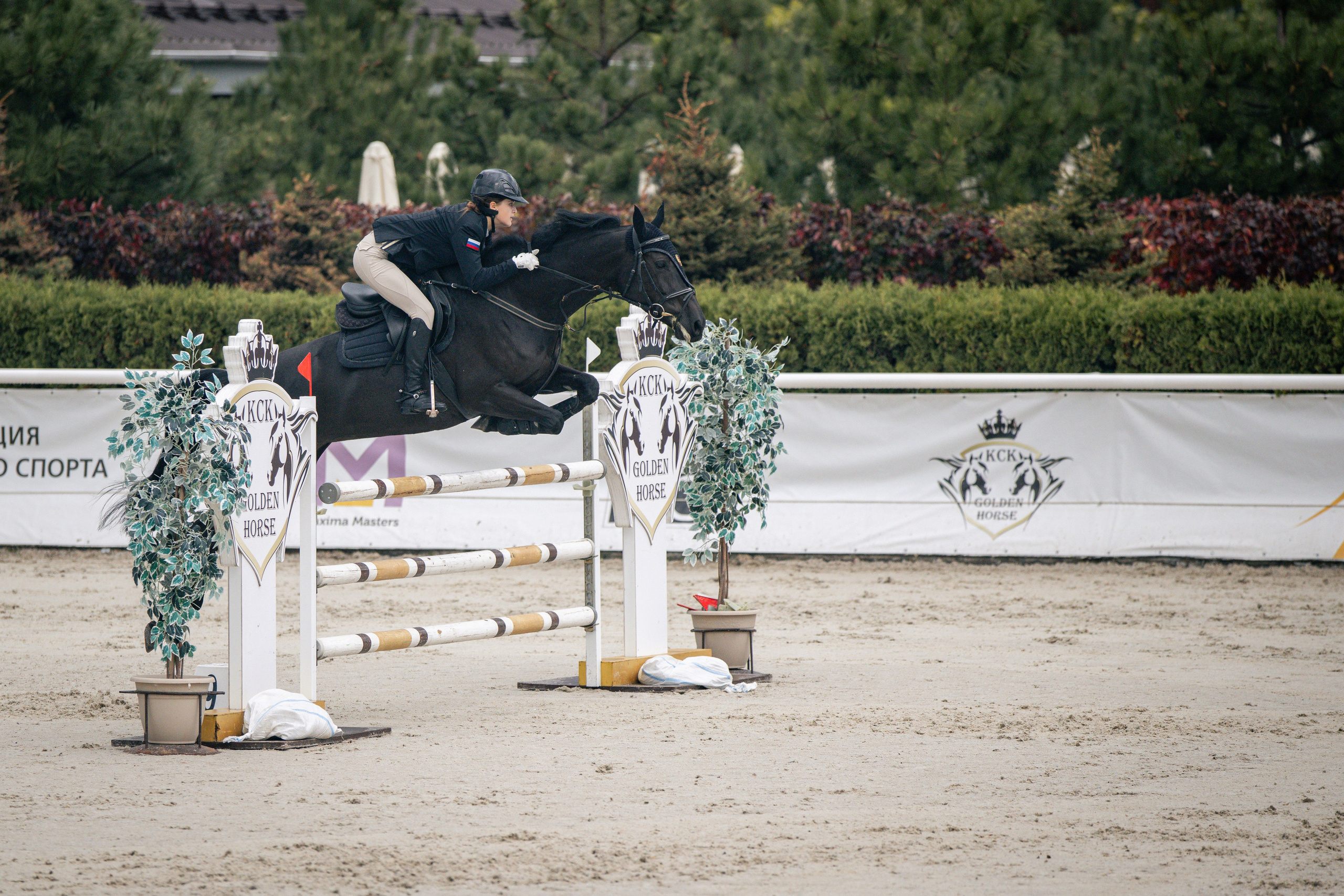 ТАГАНРОГ 2025 — Чемпионы России. Ева Демидова. Спортсмен по конкуру в Санкт-Петербуре