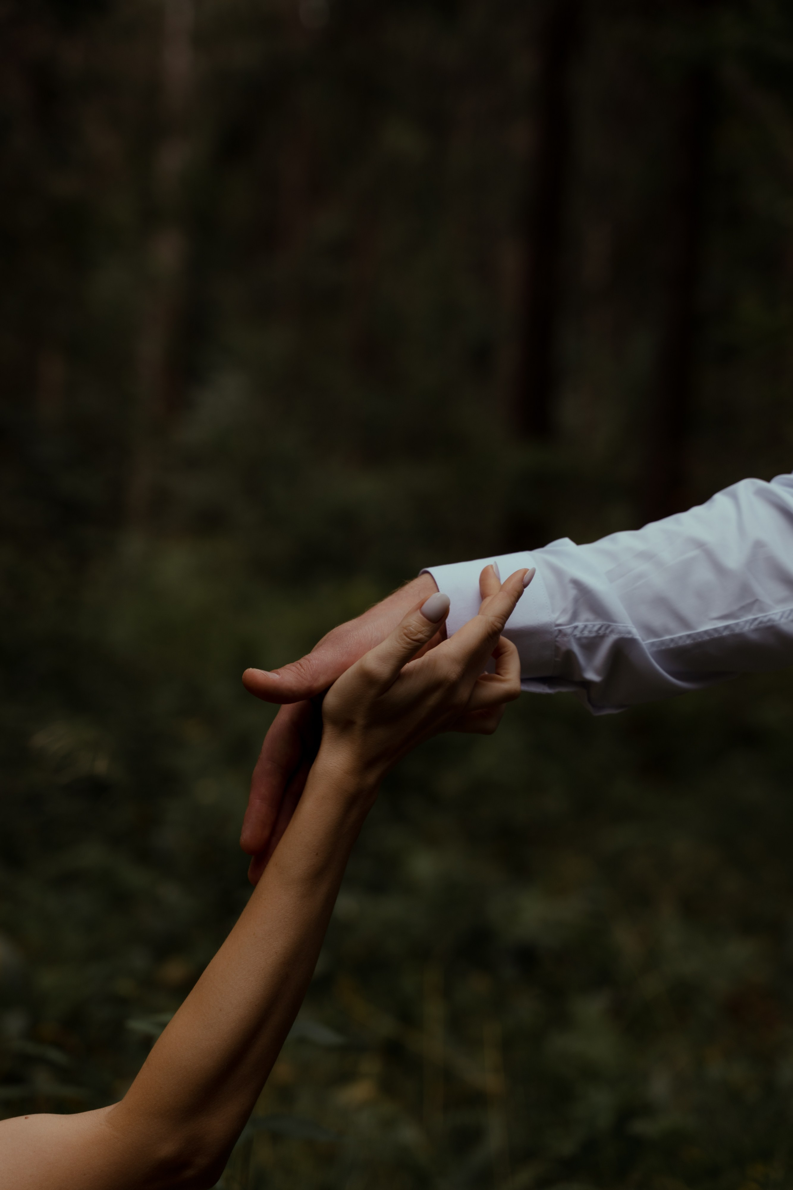 Свадьба Елены и Олега. Фотограф в Москве и Нижнем Новгороде Никонова Анастасия