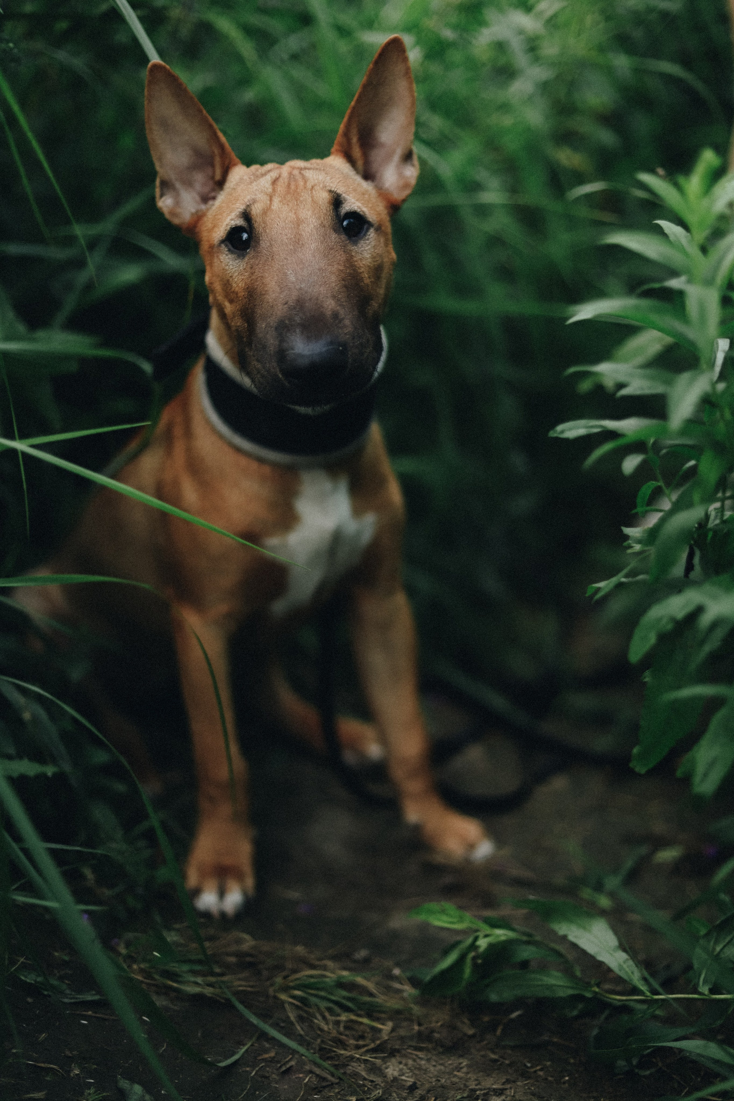 2. Фотограф Москва и Санкт-Петербург