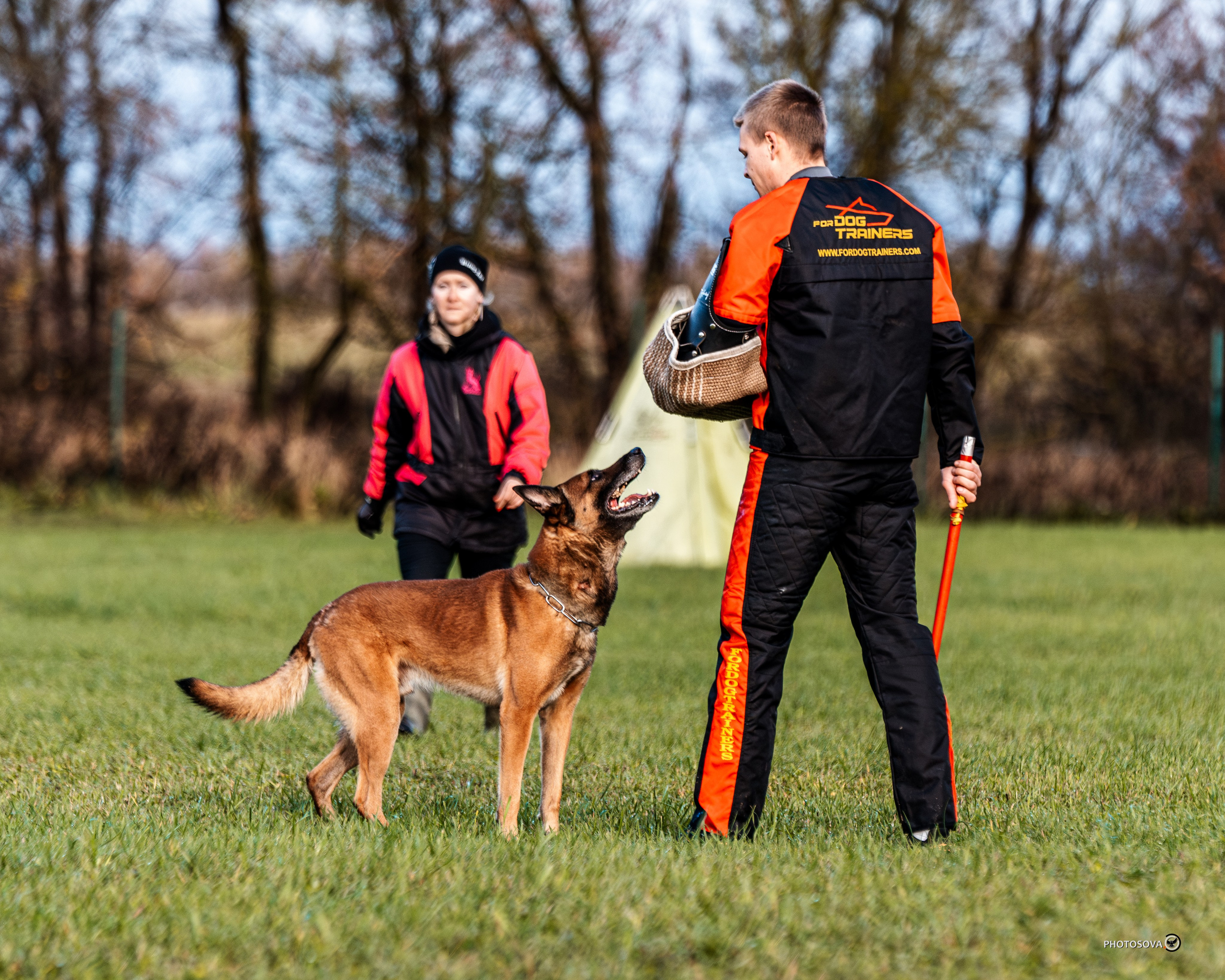 МЫ — КОМАНДА (соревнования) OKD, BH, IBGH, IGP. Фотограф-анималист, семейный фотограф в Москве и Подмосковье. Фотосъёмка кинологических дисциплин