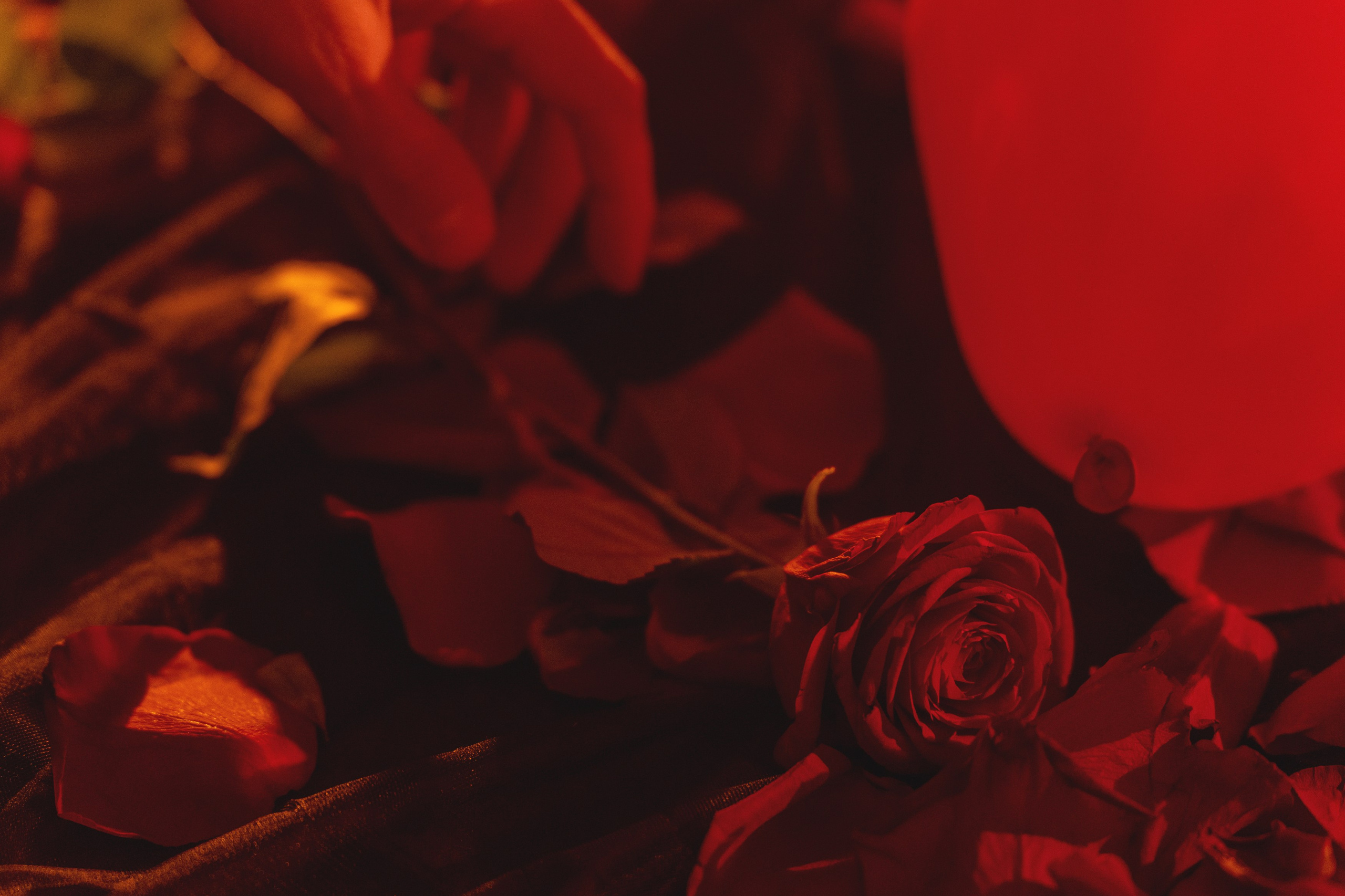 Фотосессия к 14 февраля. Портретный фотограф Олеся Владимирова в Москве