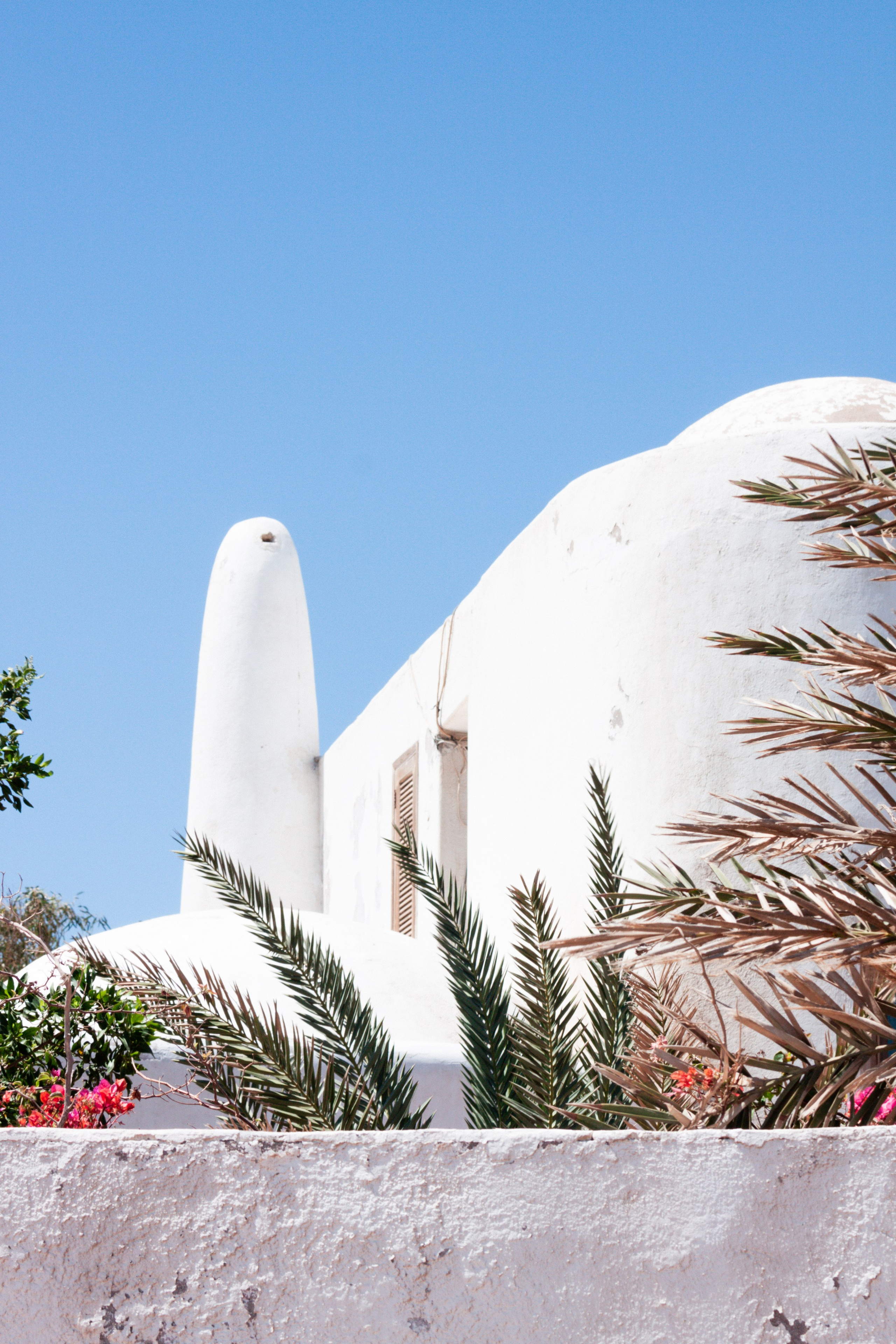 DAHABibi. Дария Галямова — фотограф: открытый, творческий, коммерческий